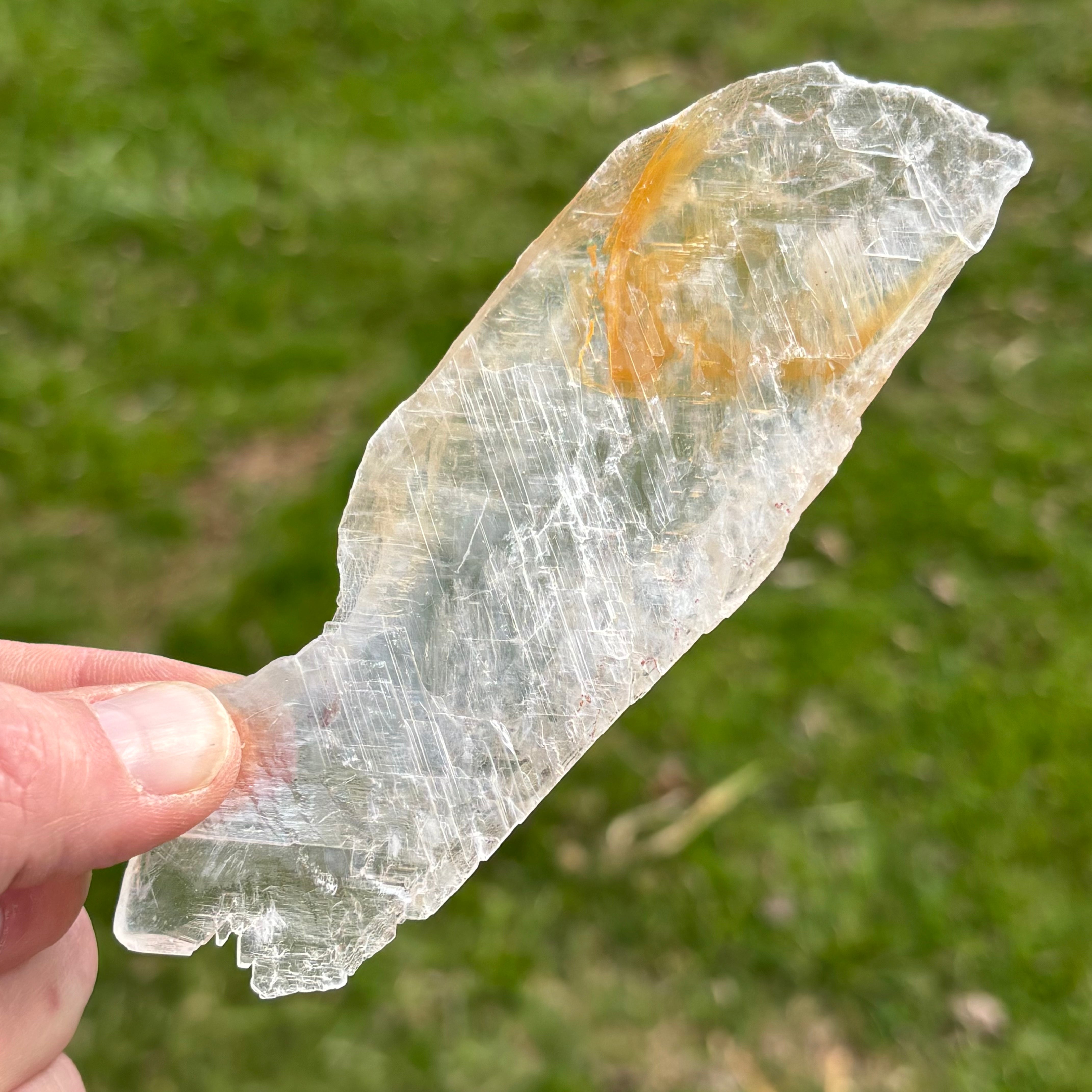 Golden Selenite Window - 653