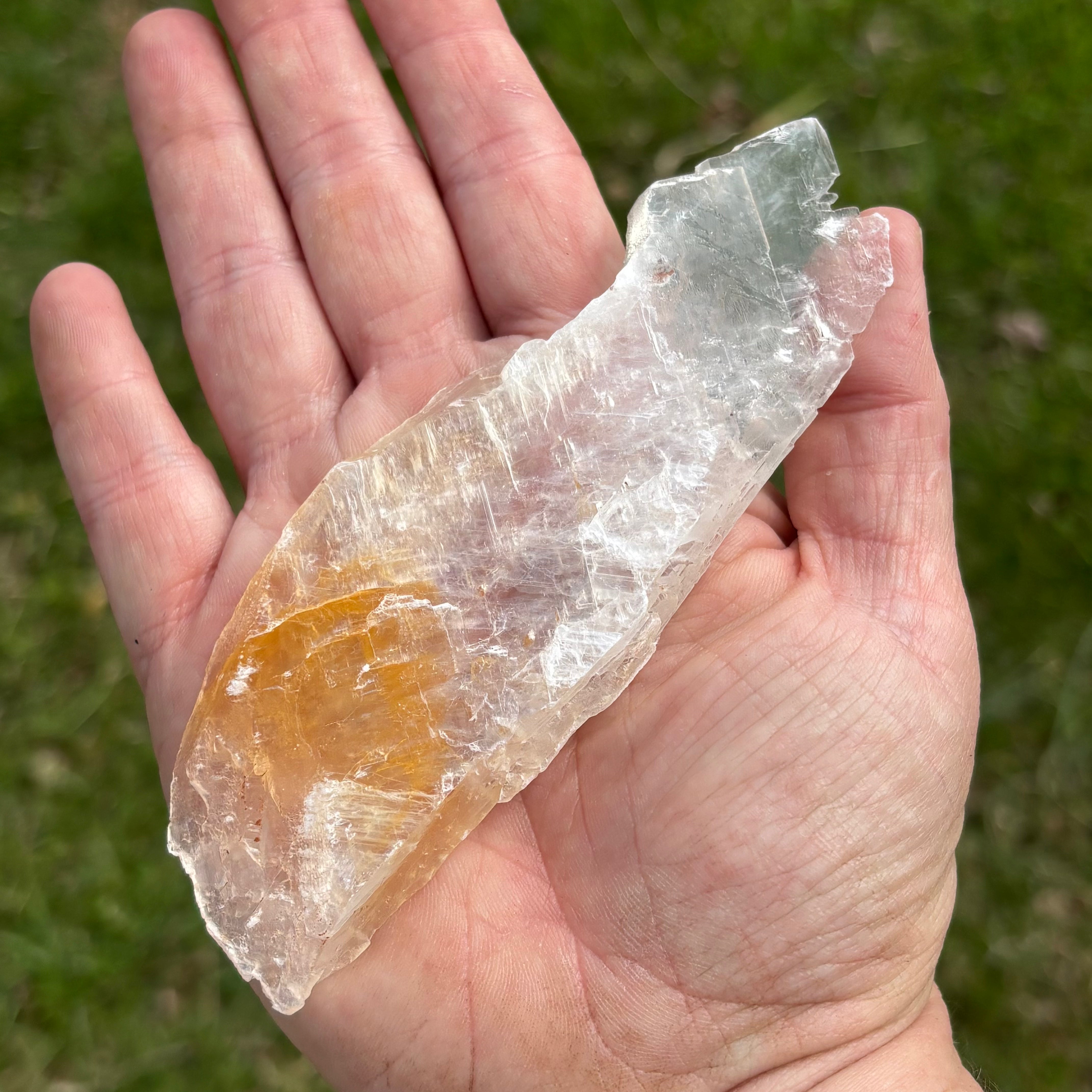 Golden Selenite Window - 653