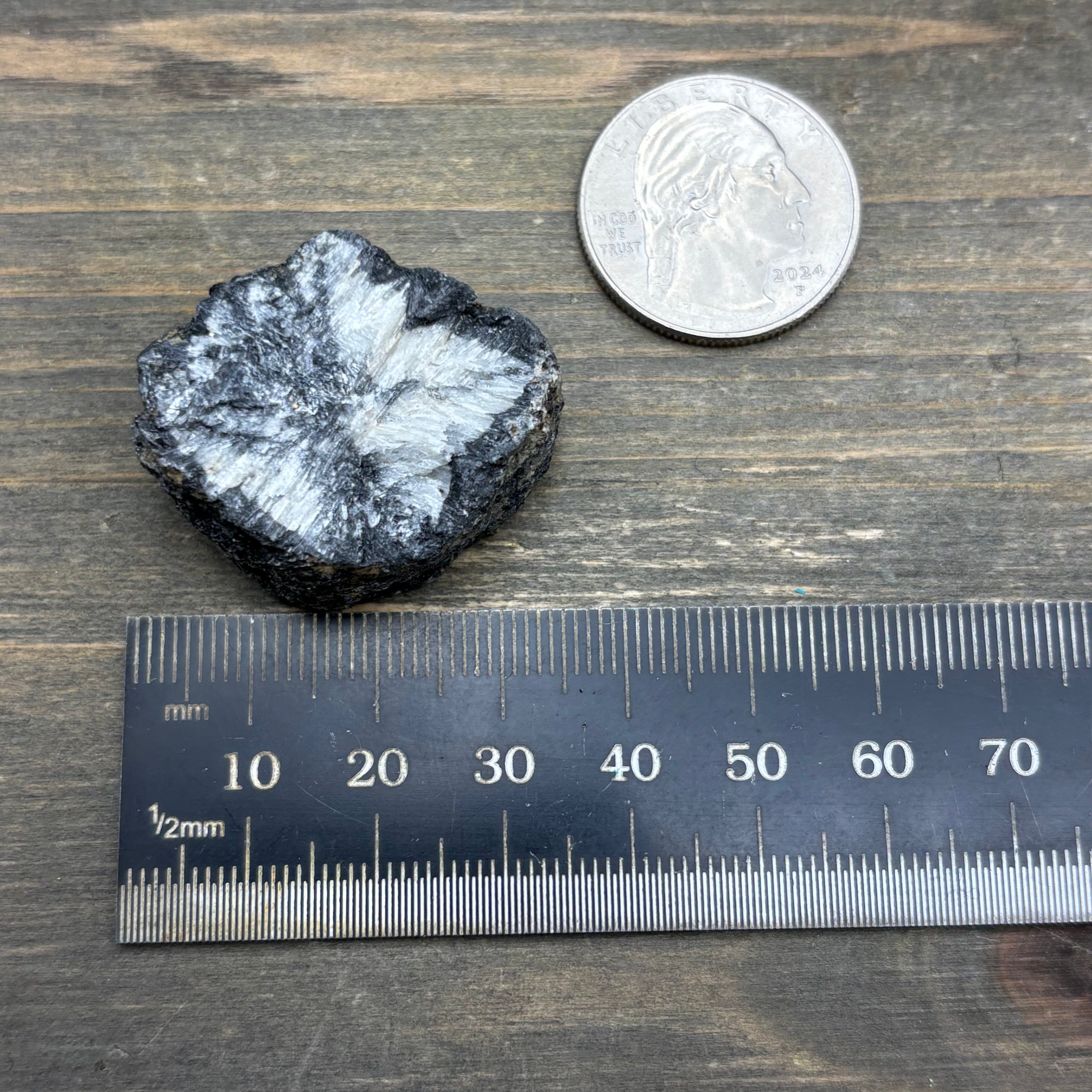 Siberian Chiastolite - 004