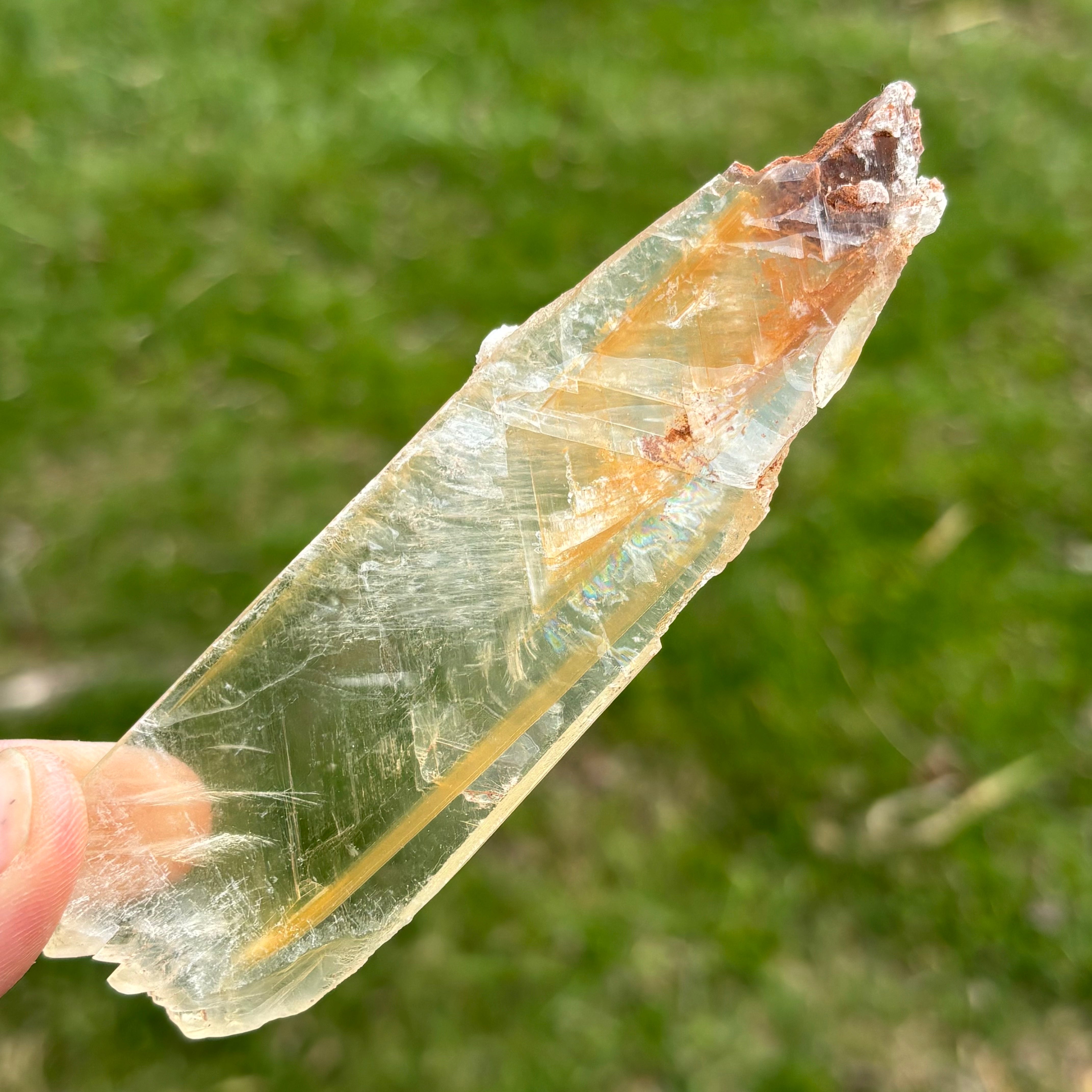 Golden Selenite Window - 654