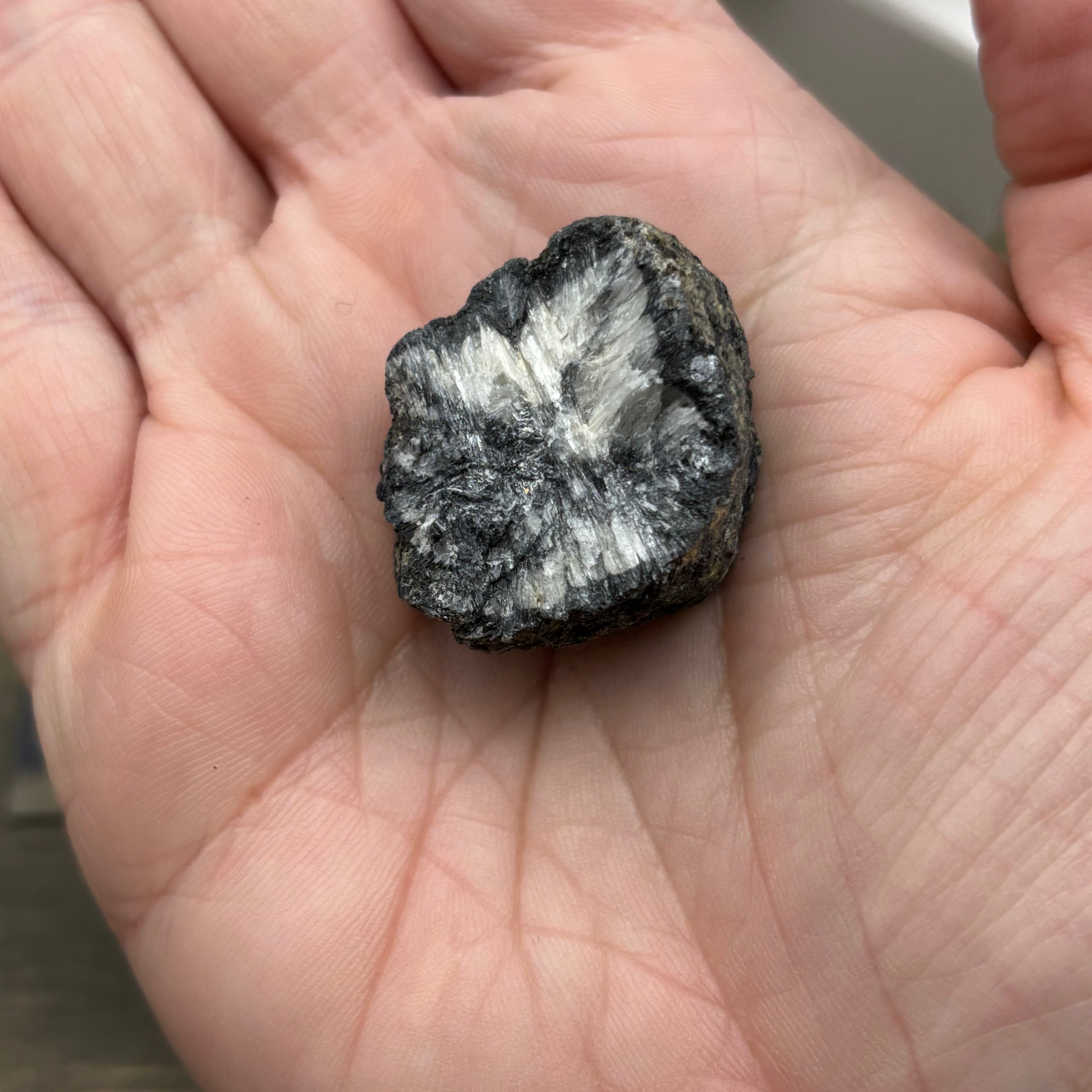 Siberian Chiastolite - 004