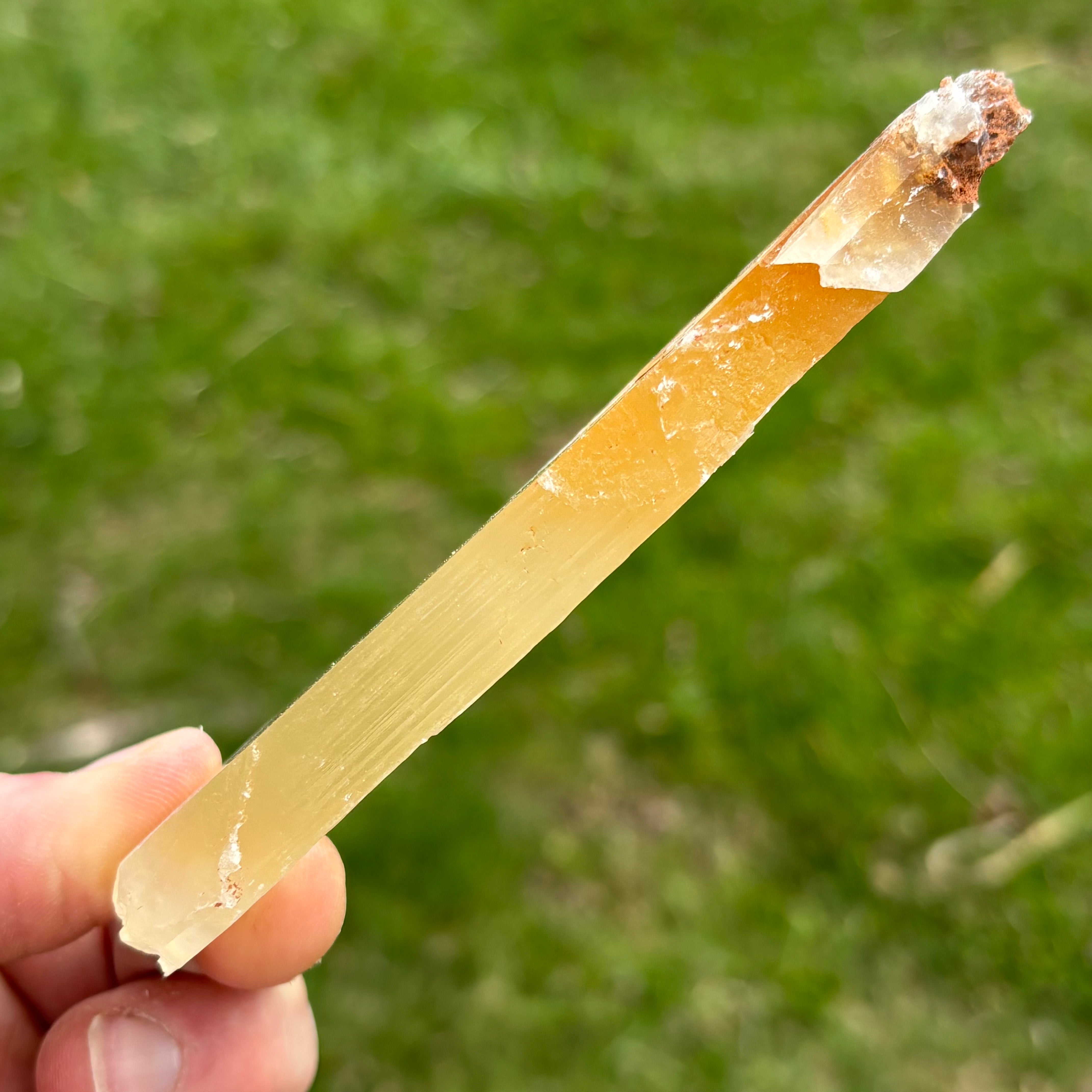 Golden Selenite Window - 654