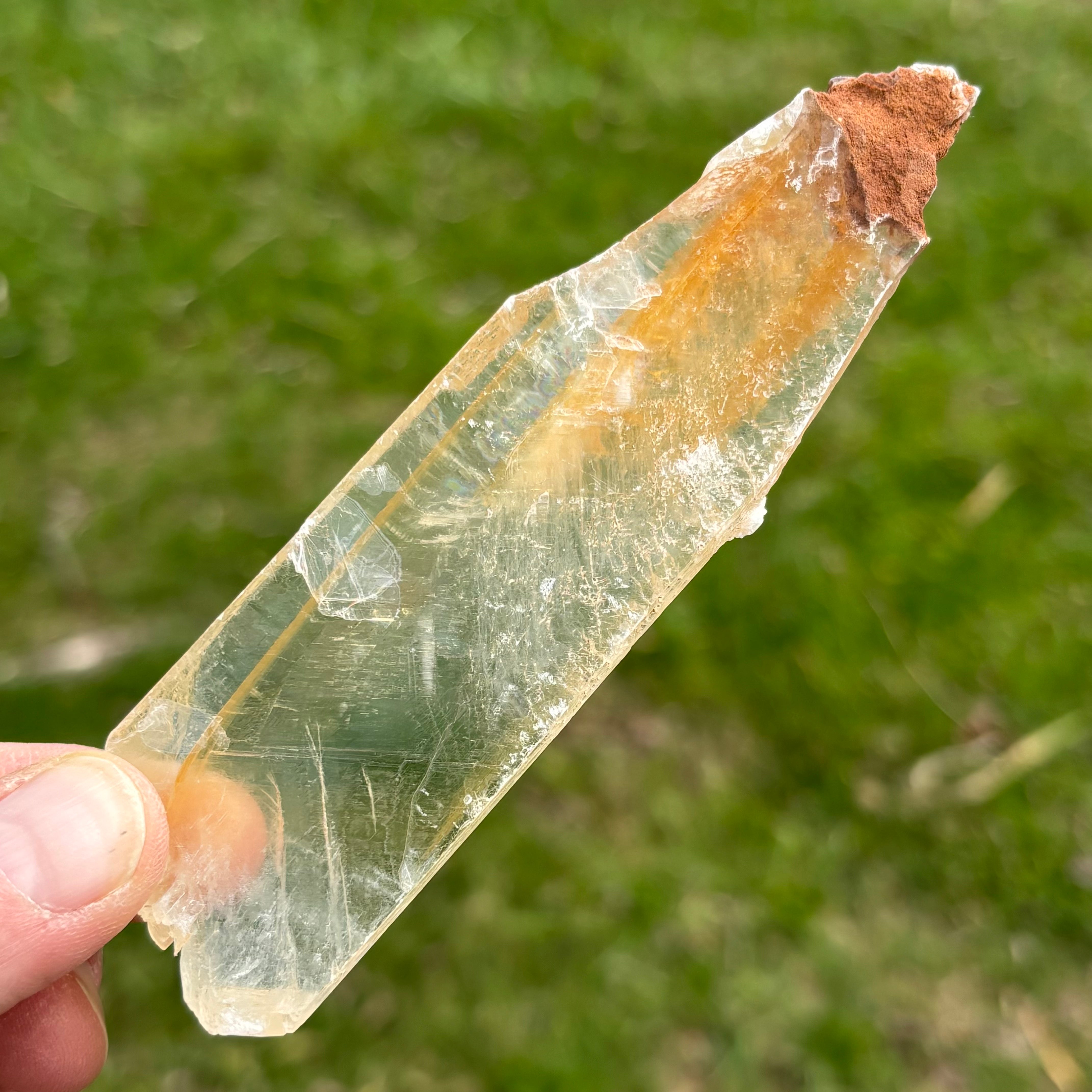 Golden Selenite Window - 654