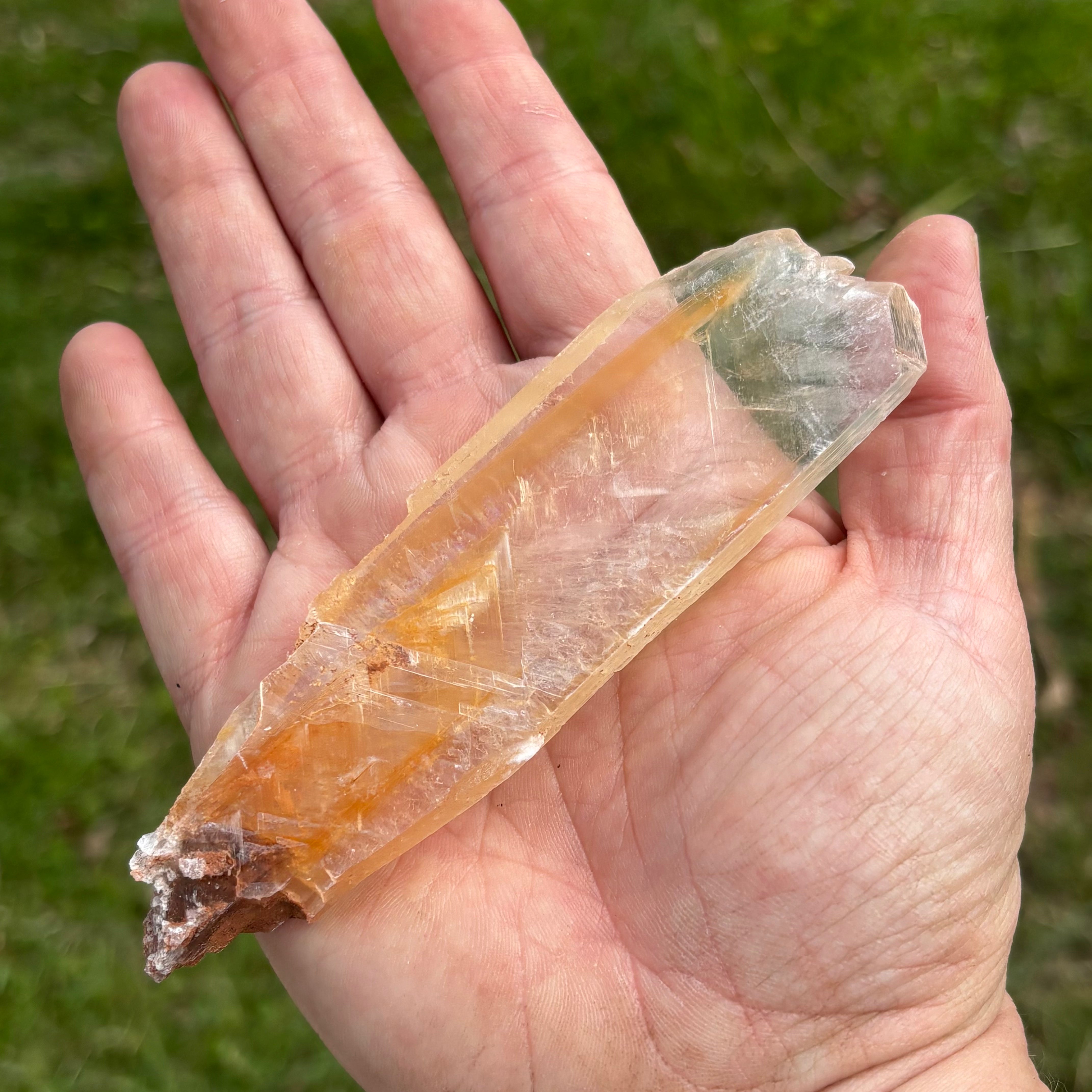 Golden Selenite Window - 654