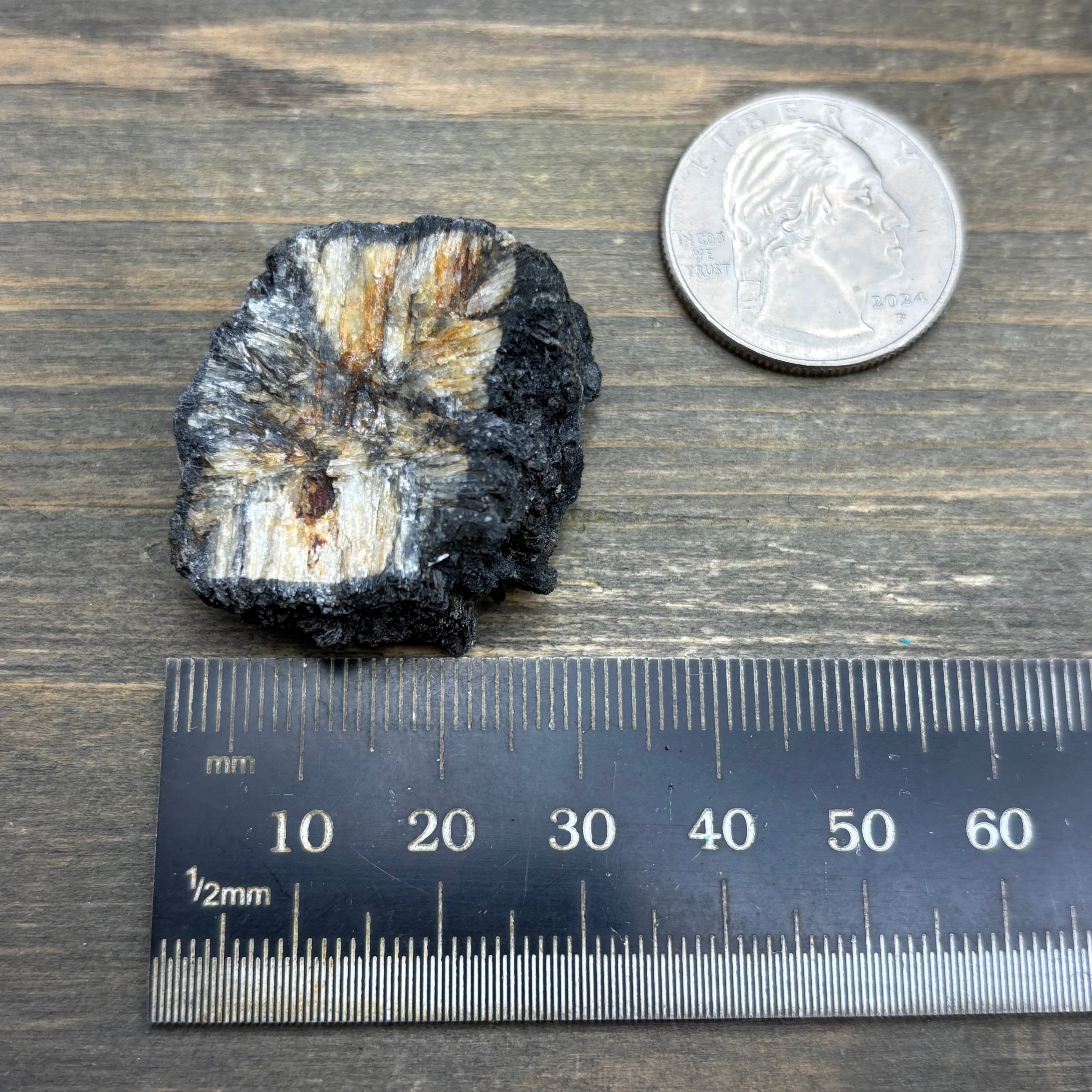 Siberian Chiastolite - 005