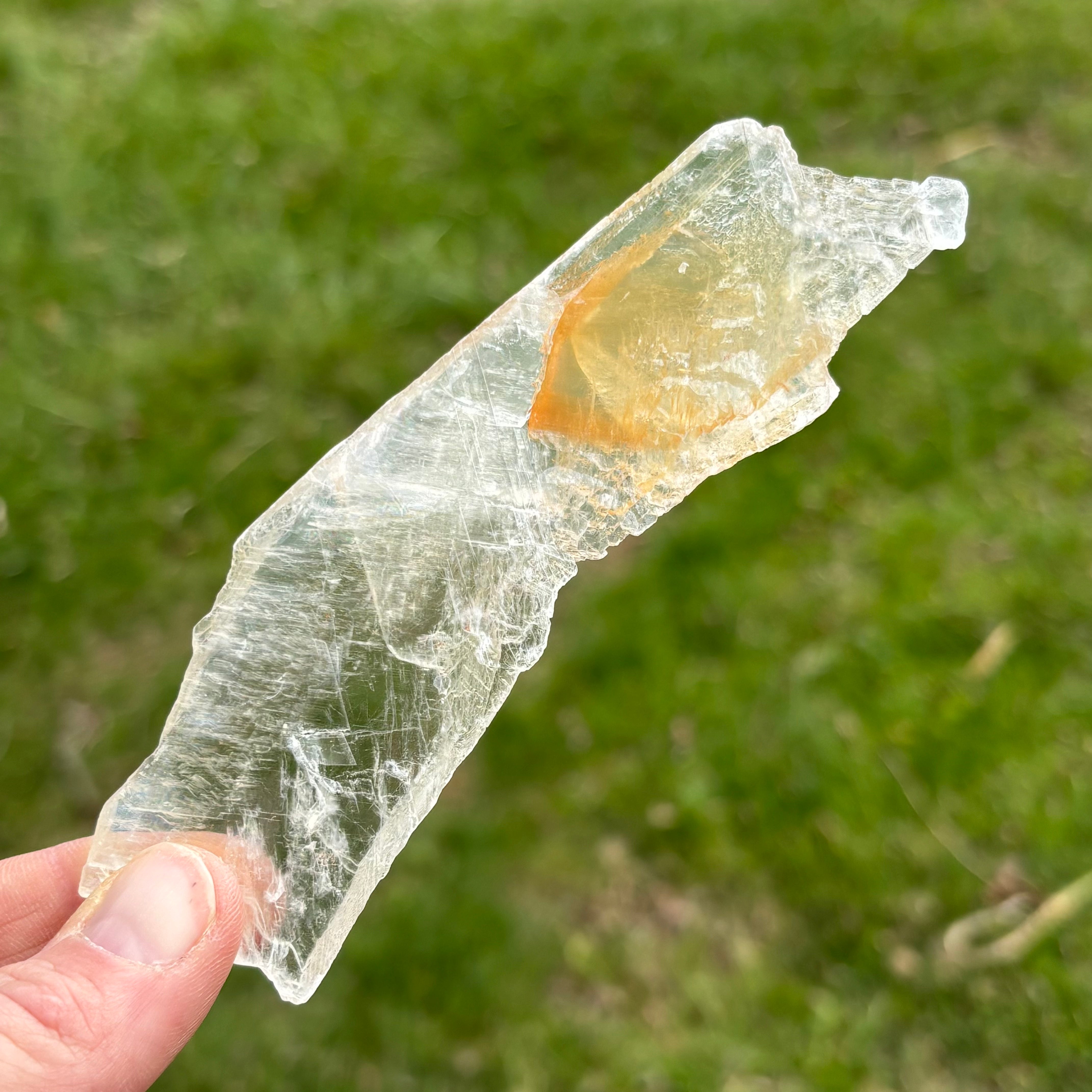 Golden Selenite Window - 655