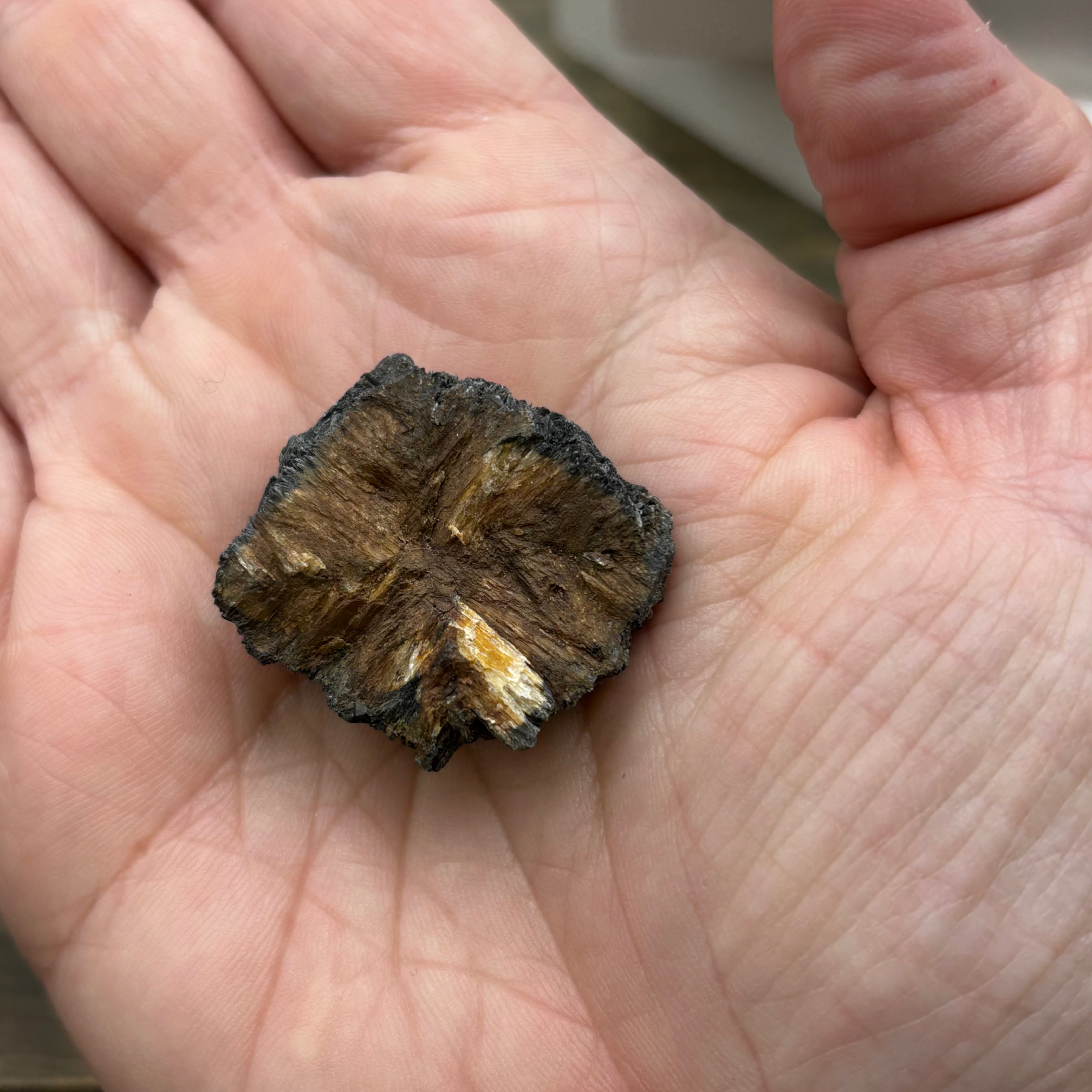Siberian Chiastolite - 005