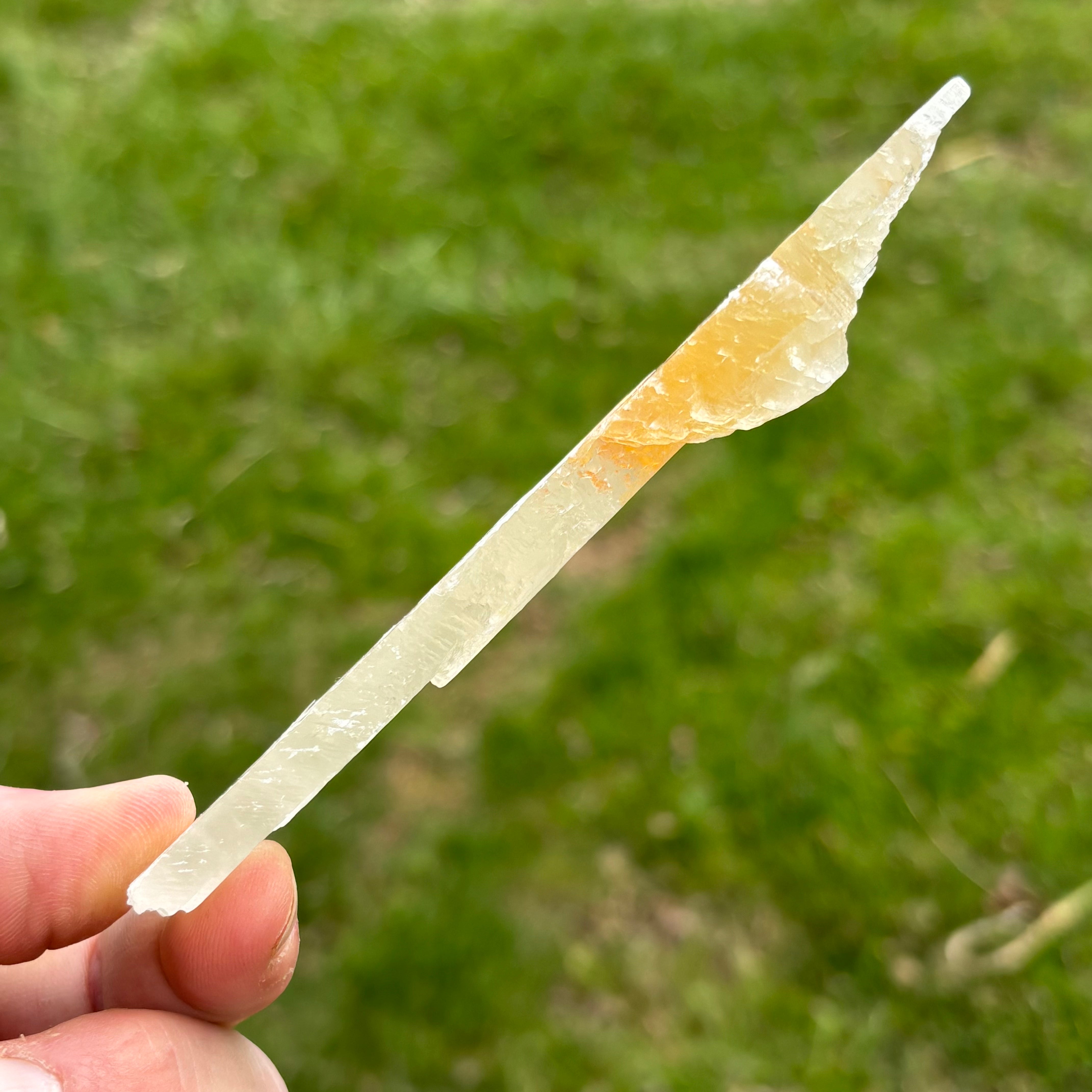 Golden Selenite Window - 655