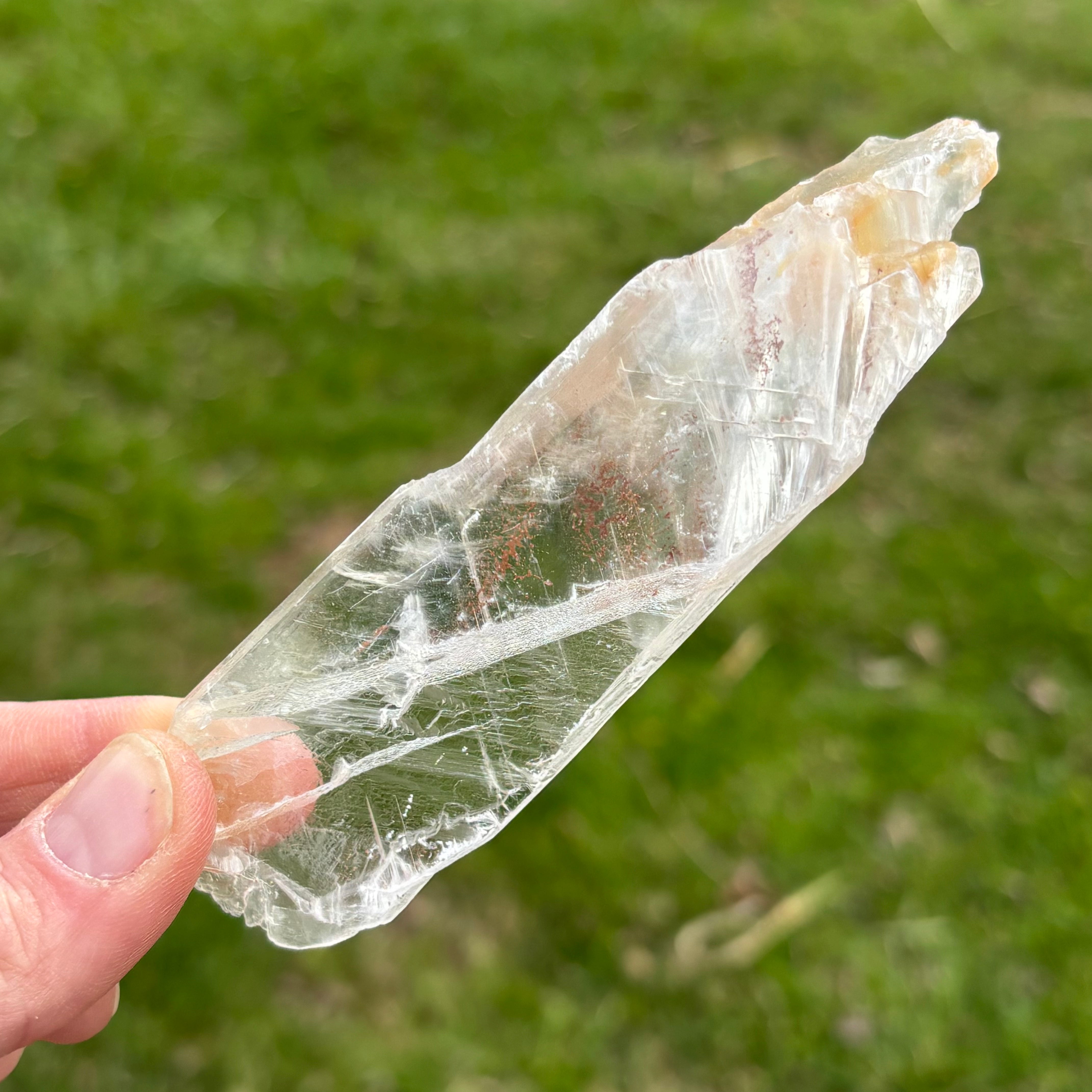 Golden Selenite Window - 656