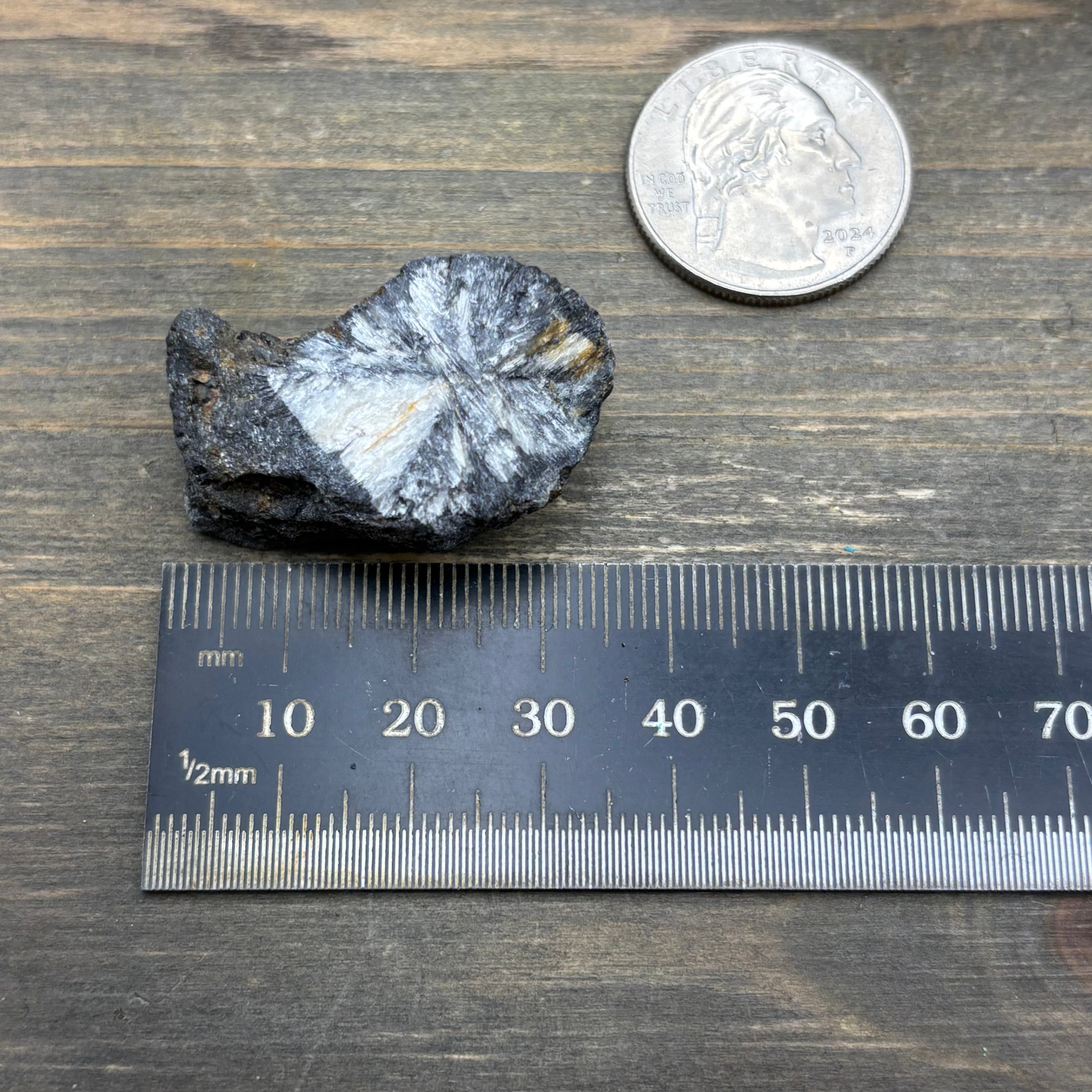 Siberian Chiastolite - 006