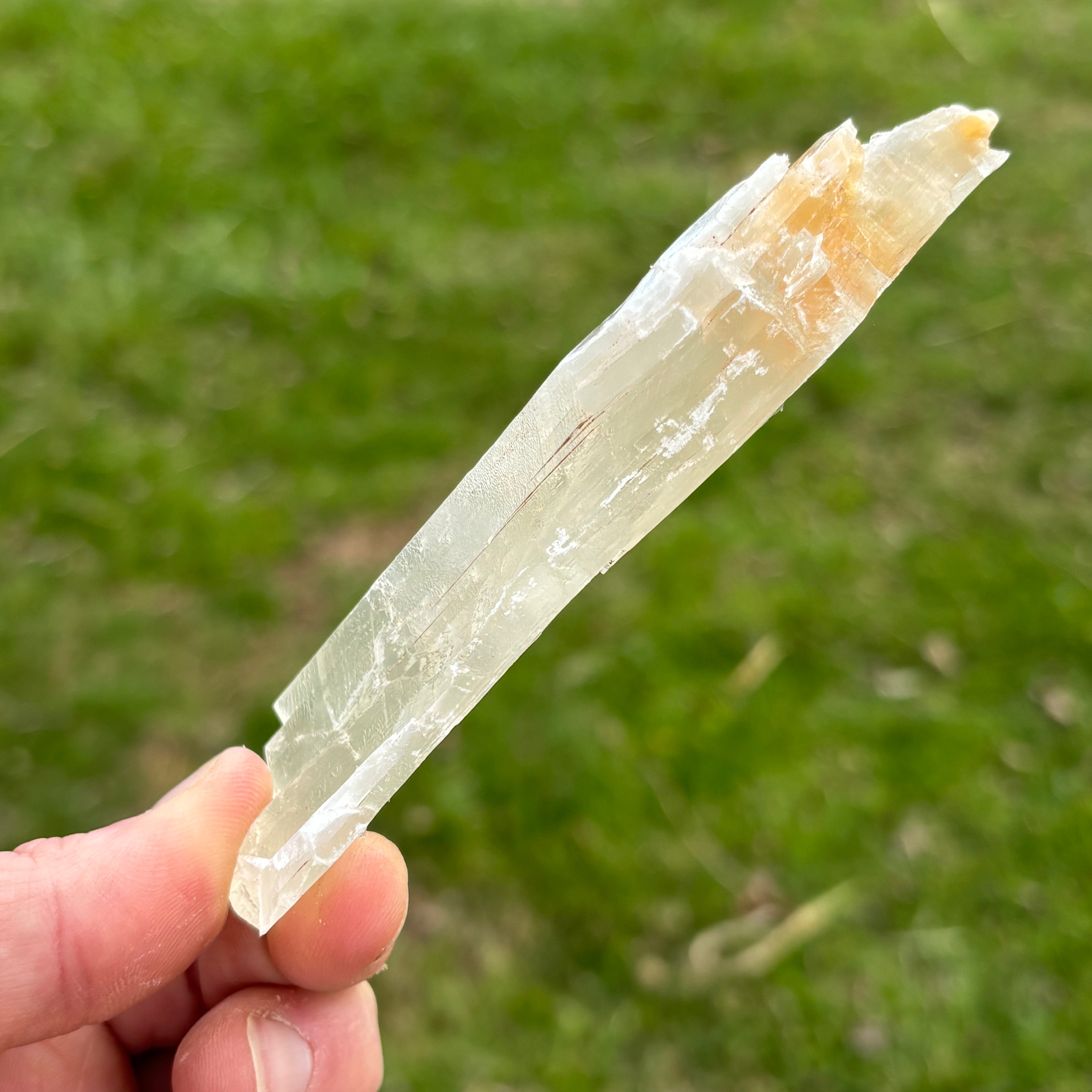 Golden Selenite Window - 656