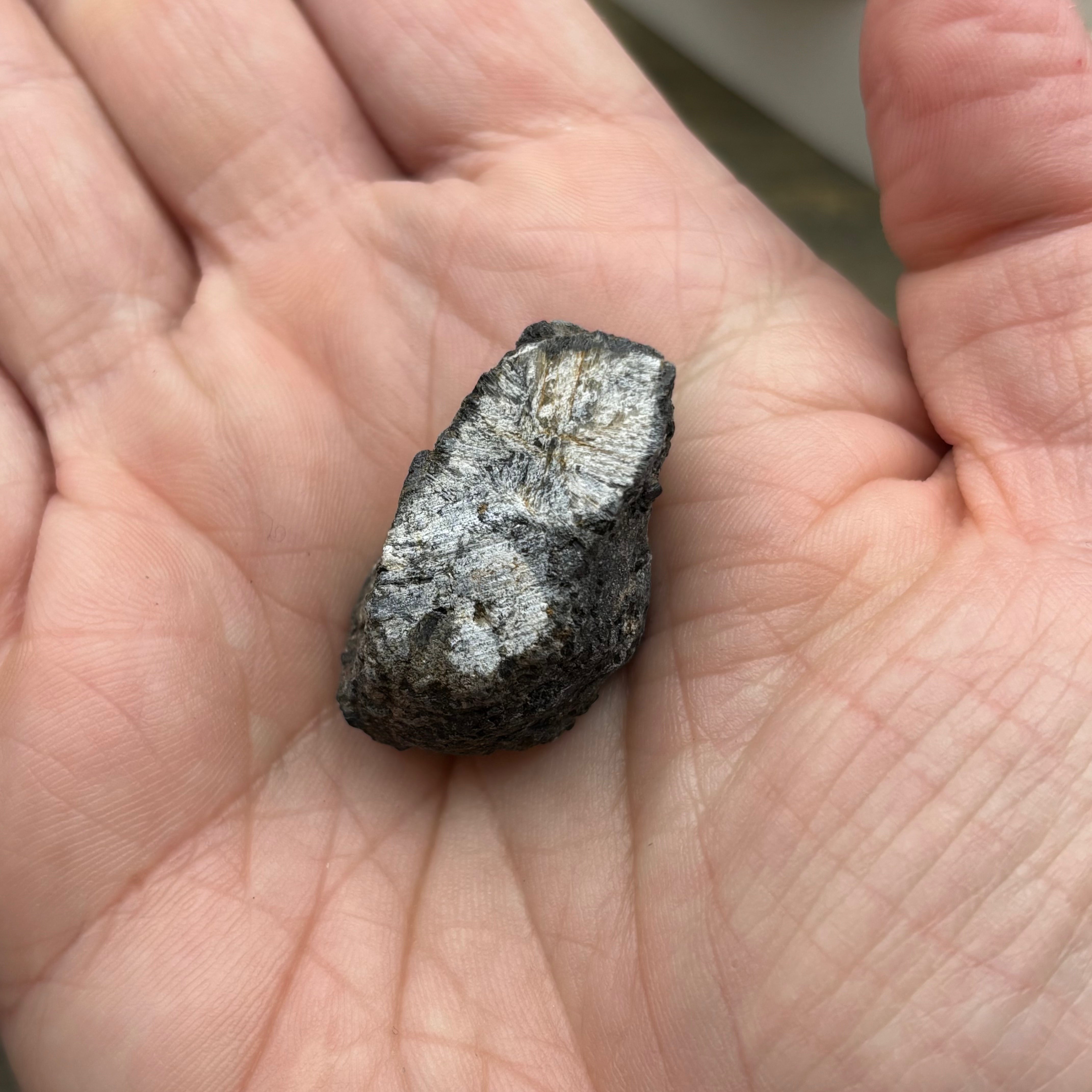 Siberian Chiastolite - 006