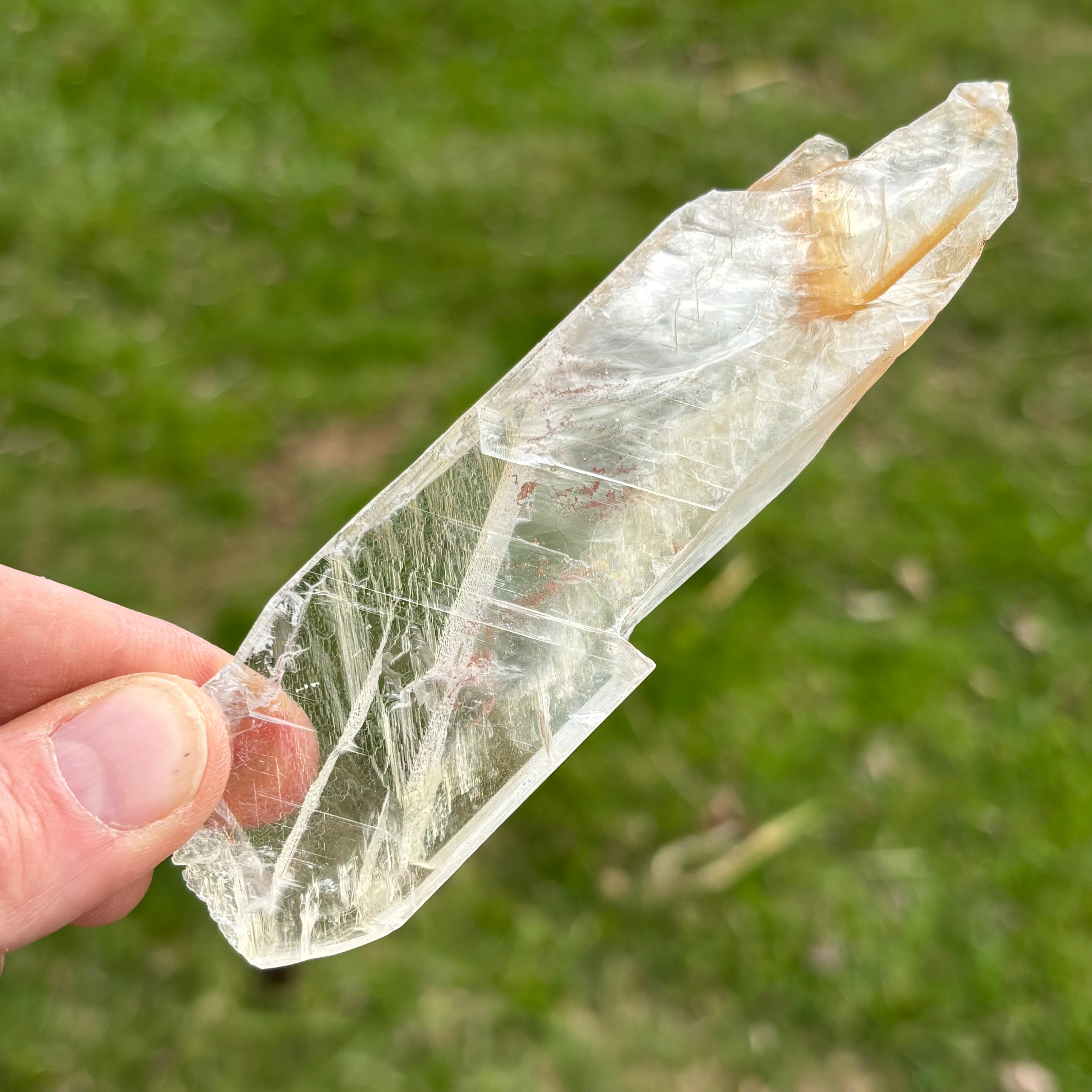 Golden Selenite Window - 656