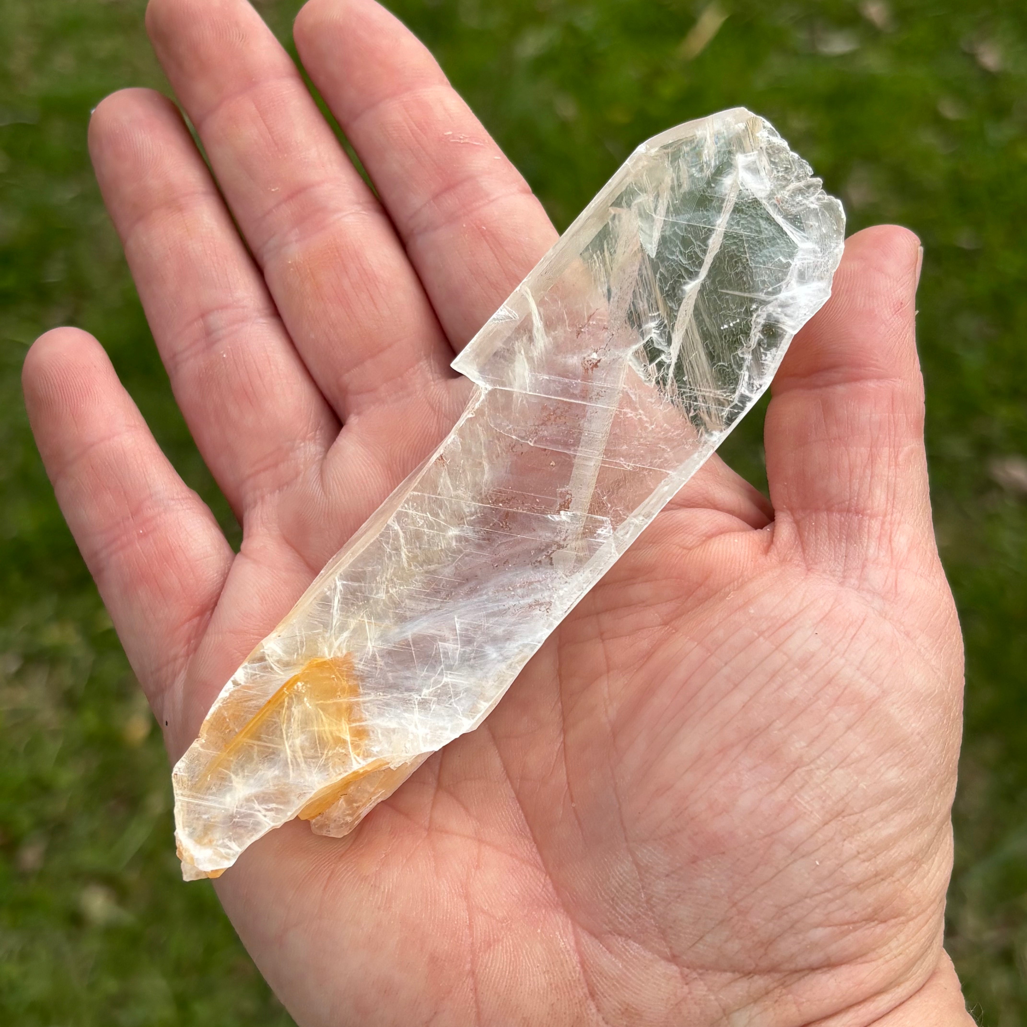 Golden Selenite Window - 656