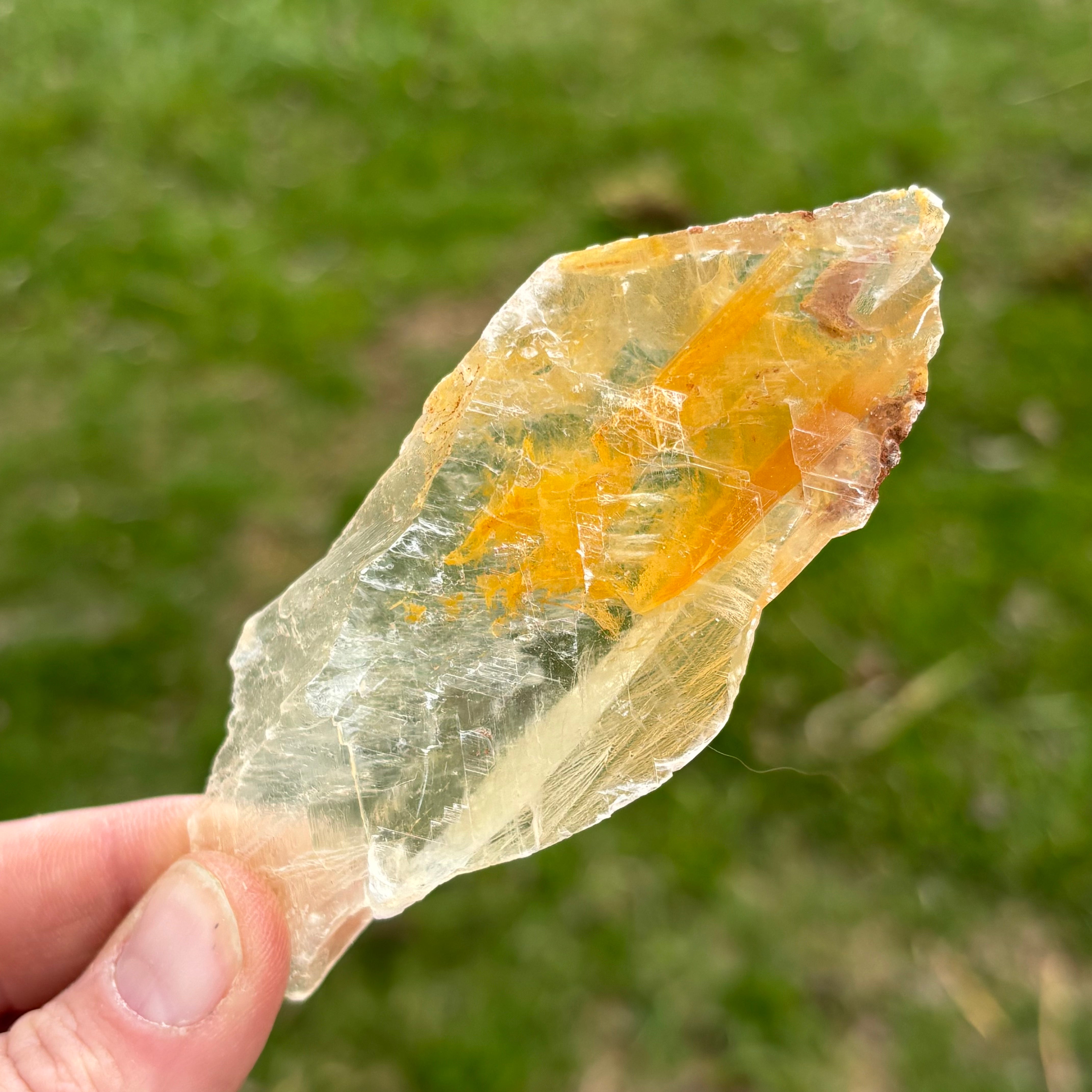Golden Selenite Window - 657