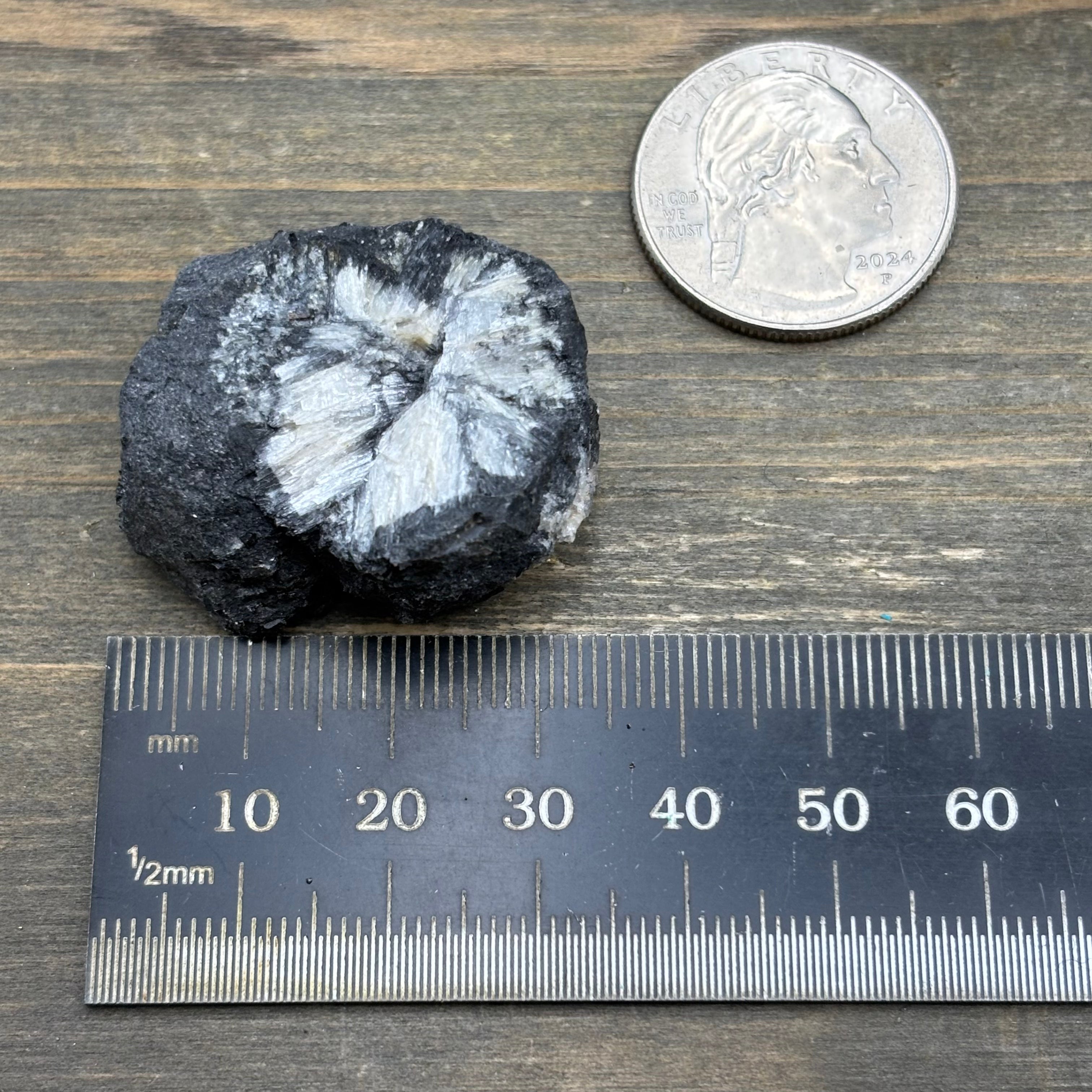 Siberian Chiastolite - 007