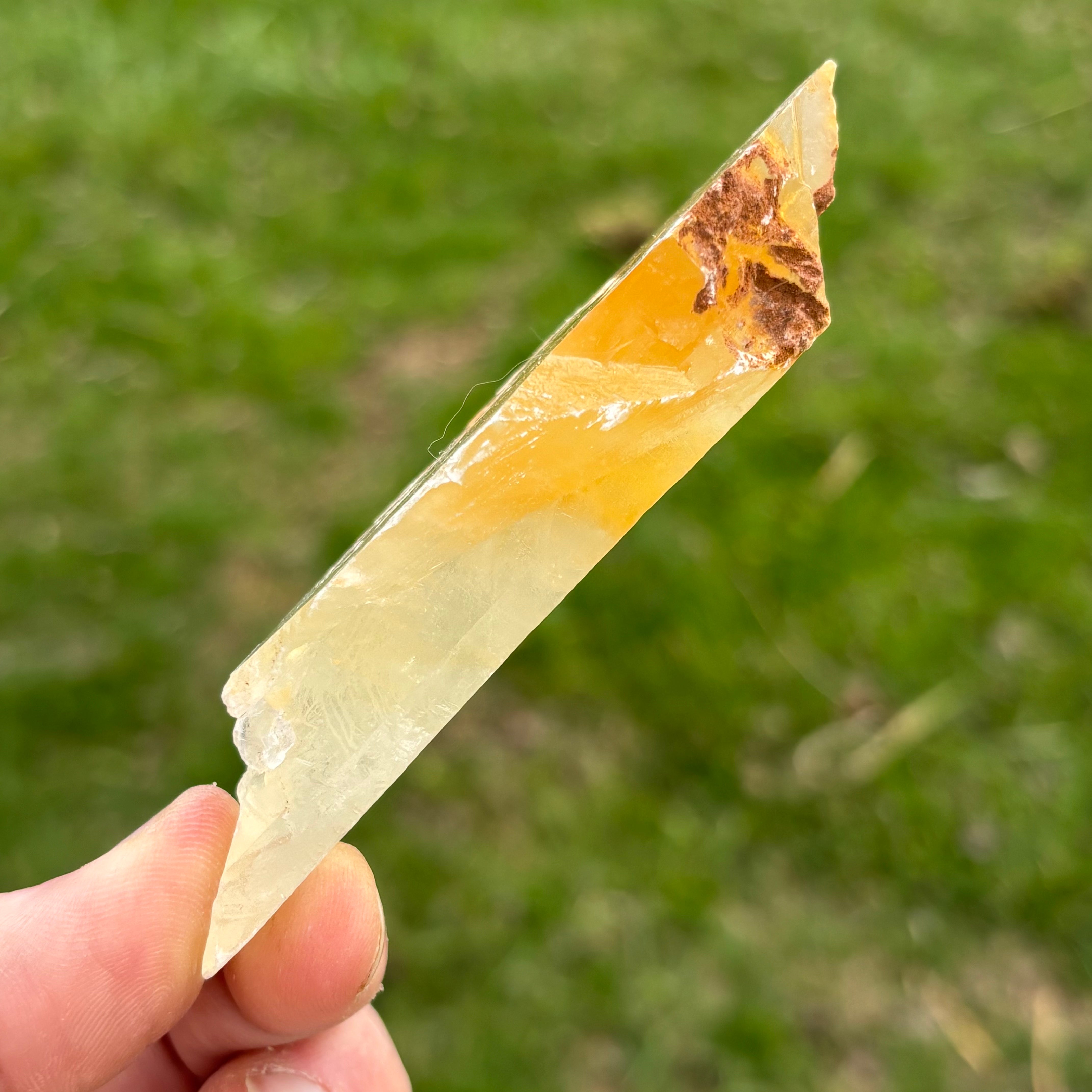Golden Selenite Window - 657