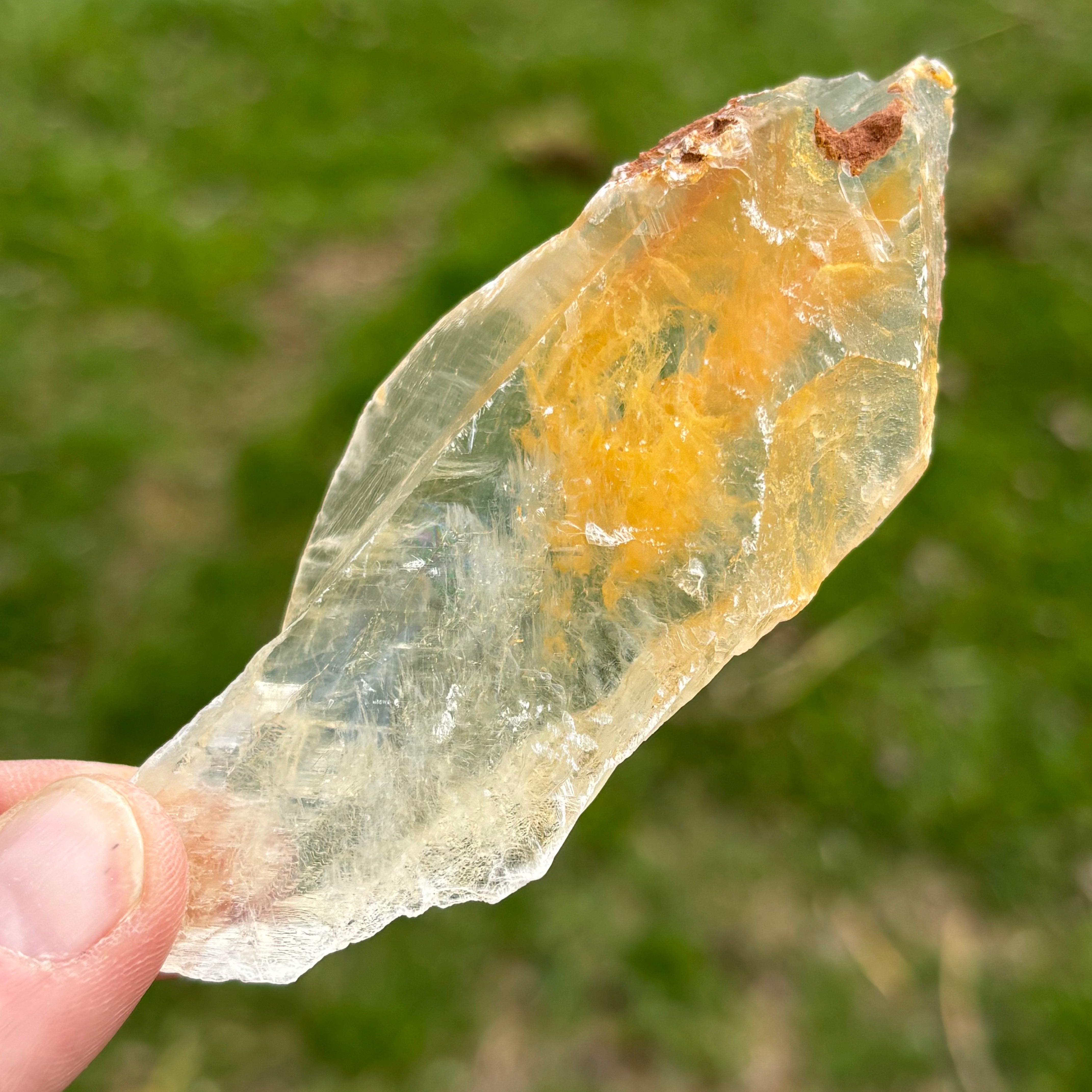Golden Selenite Window - 657