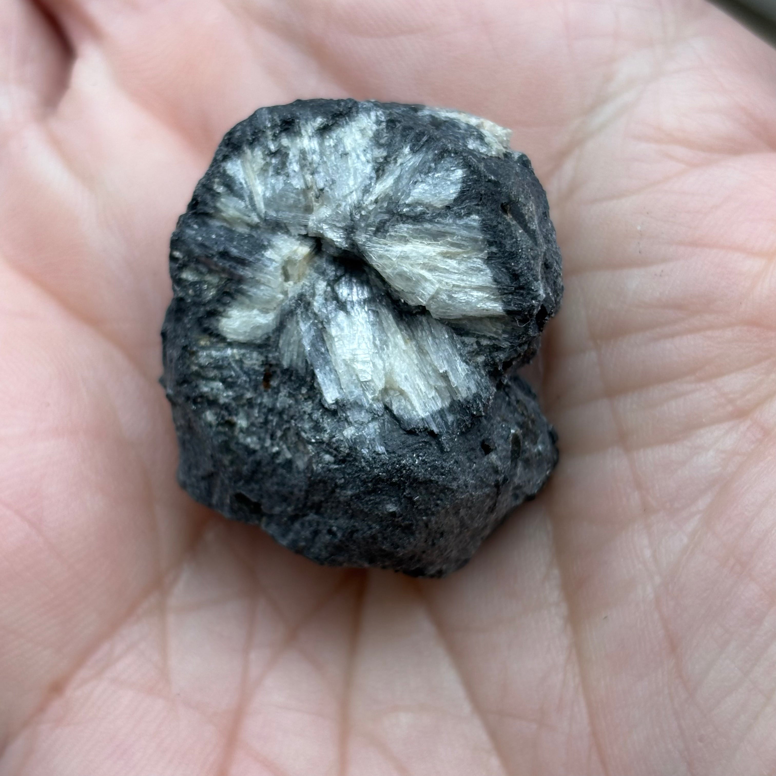 Siberian Chiastolite - 007