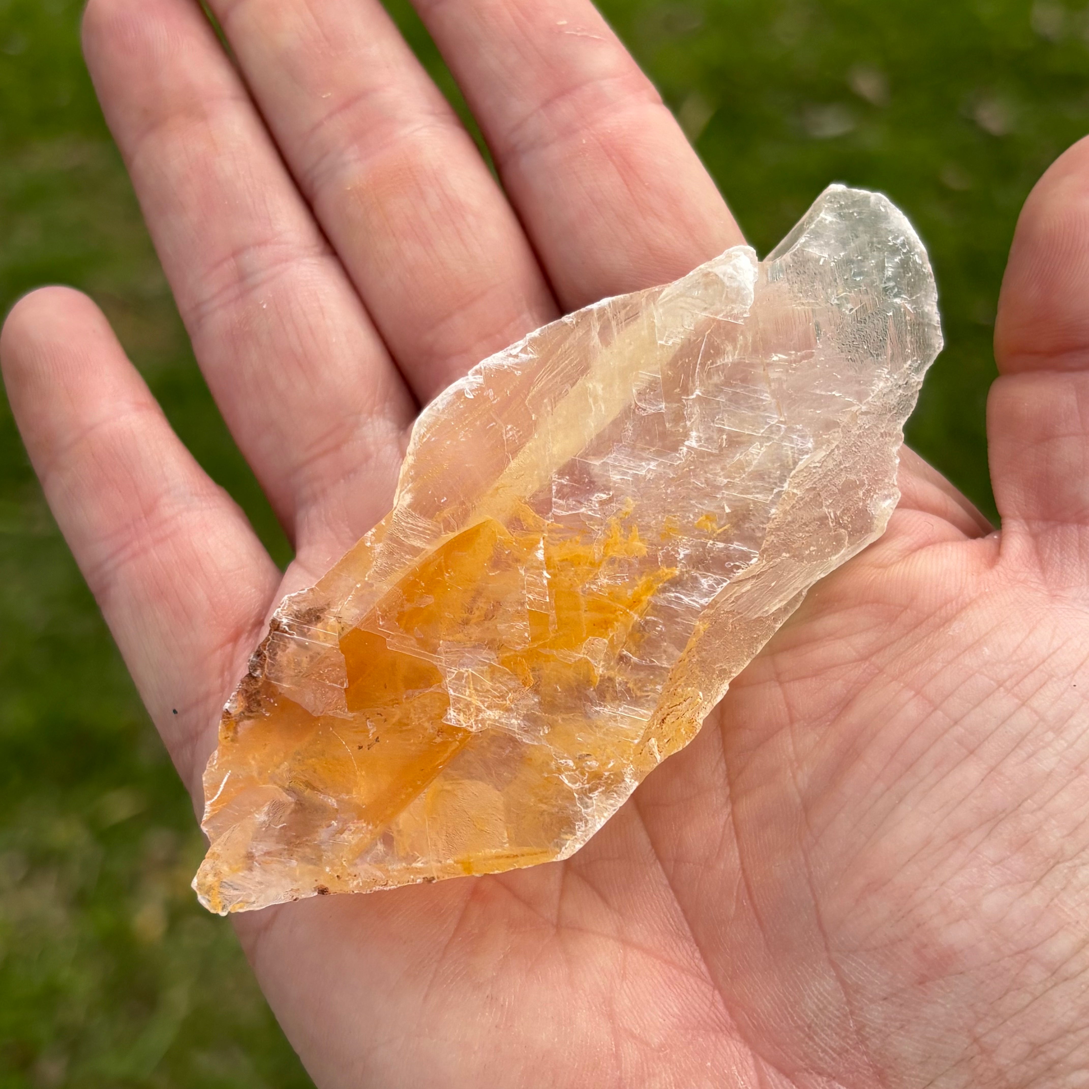 Golden Selenite Window - 657