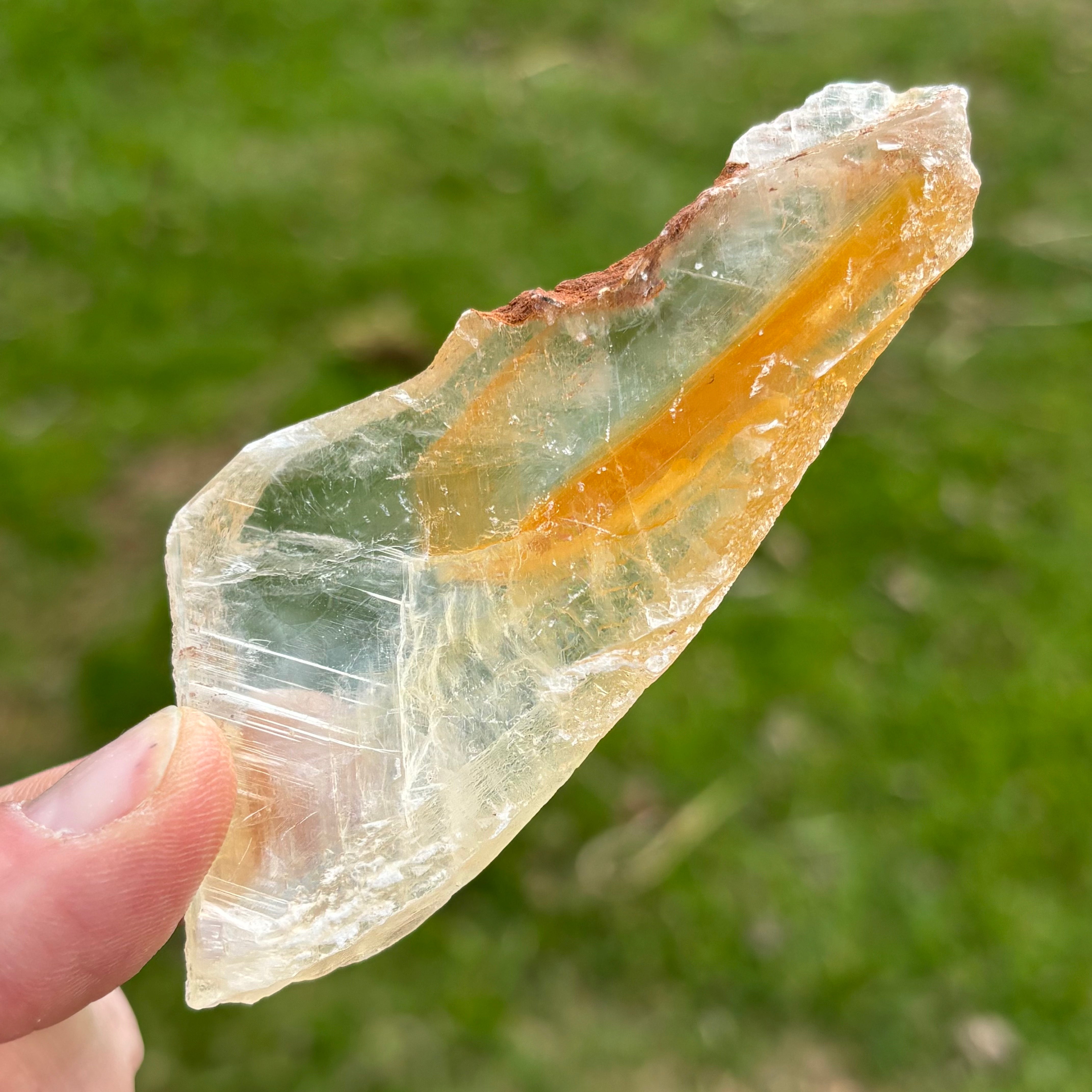 Golden Selenite Window - 658