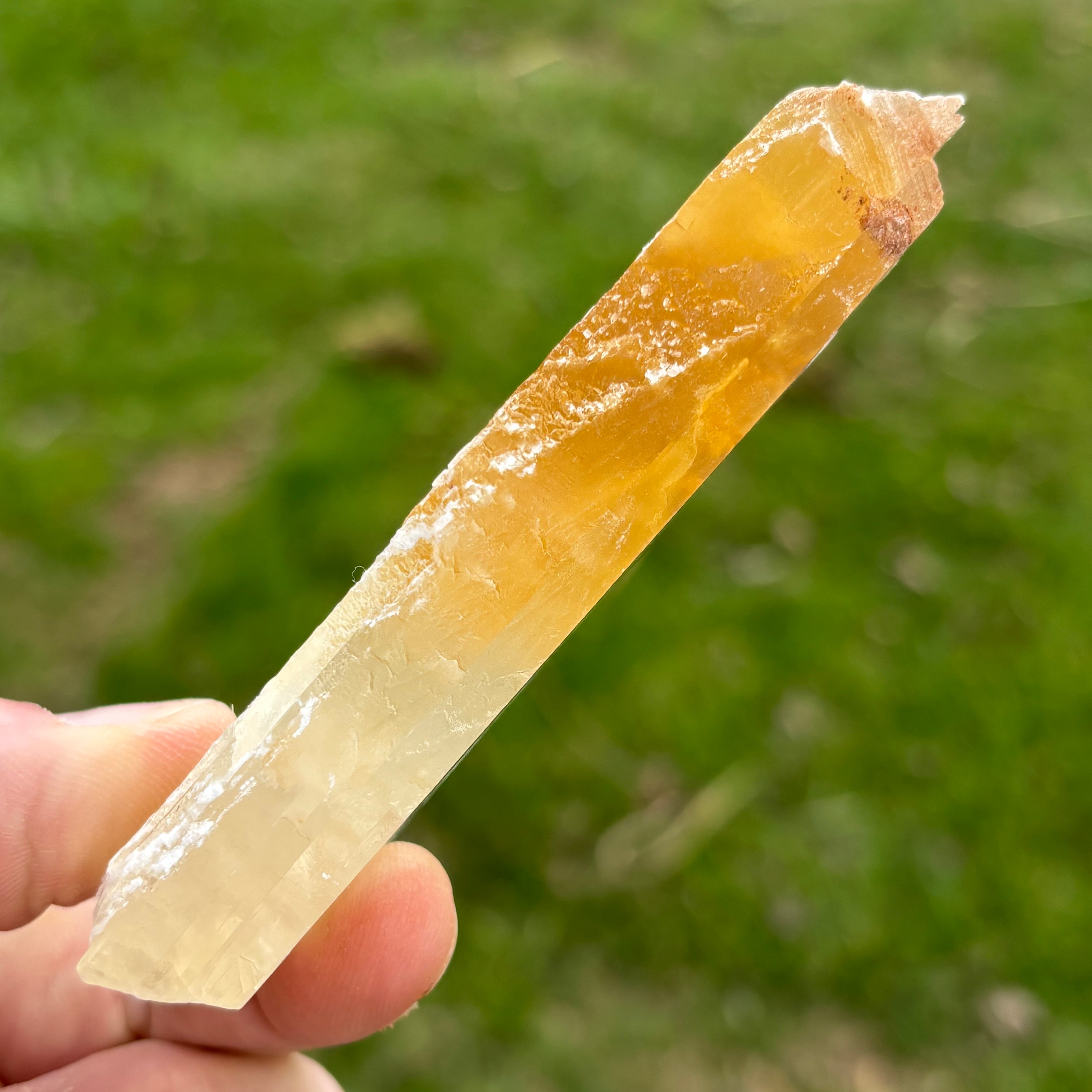 Golden Selenite Window - 658