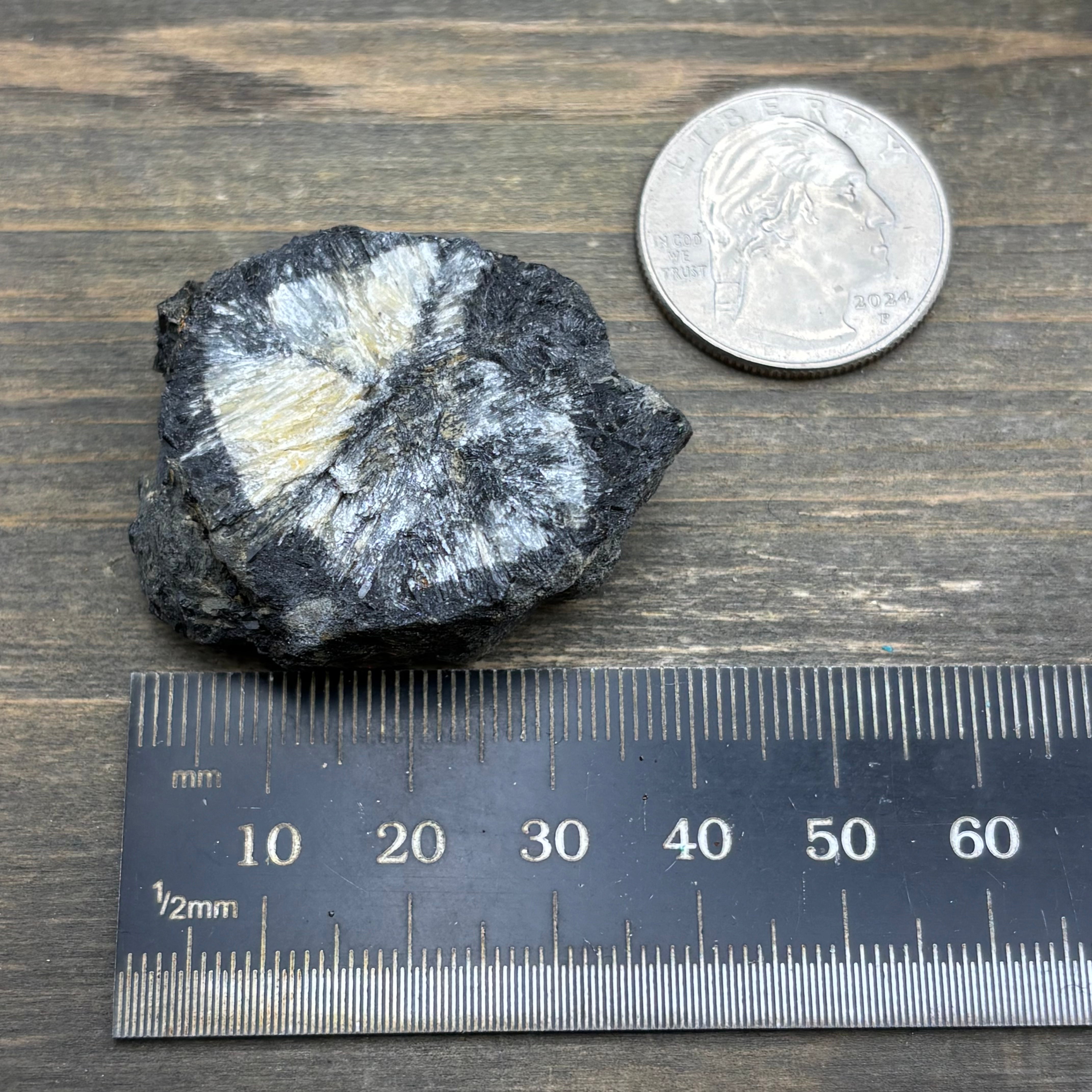 Siberian Chiastolite - 008