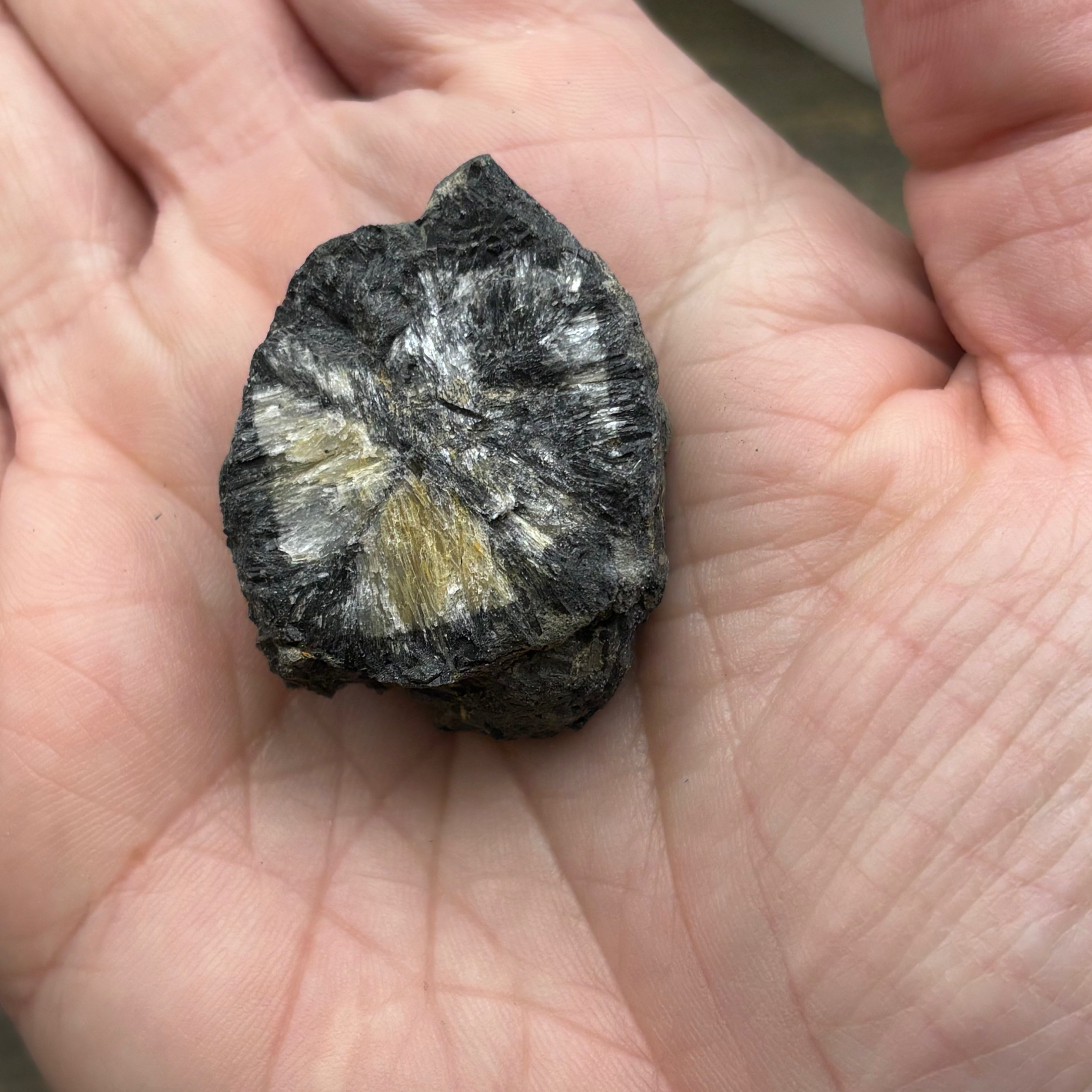 Siberian Chiastolite - 008