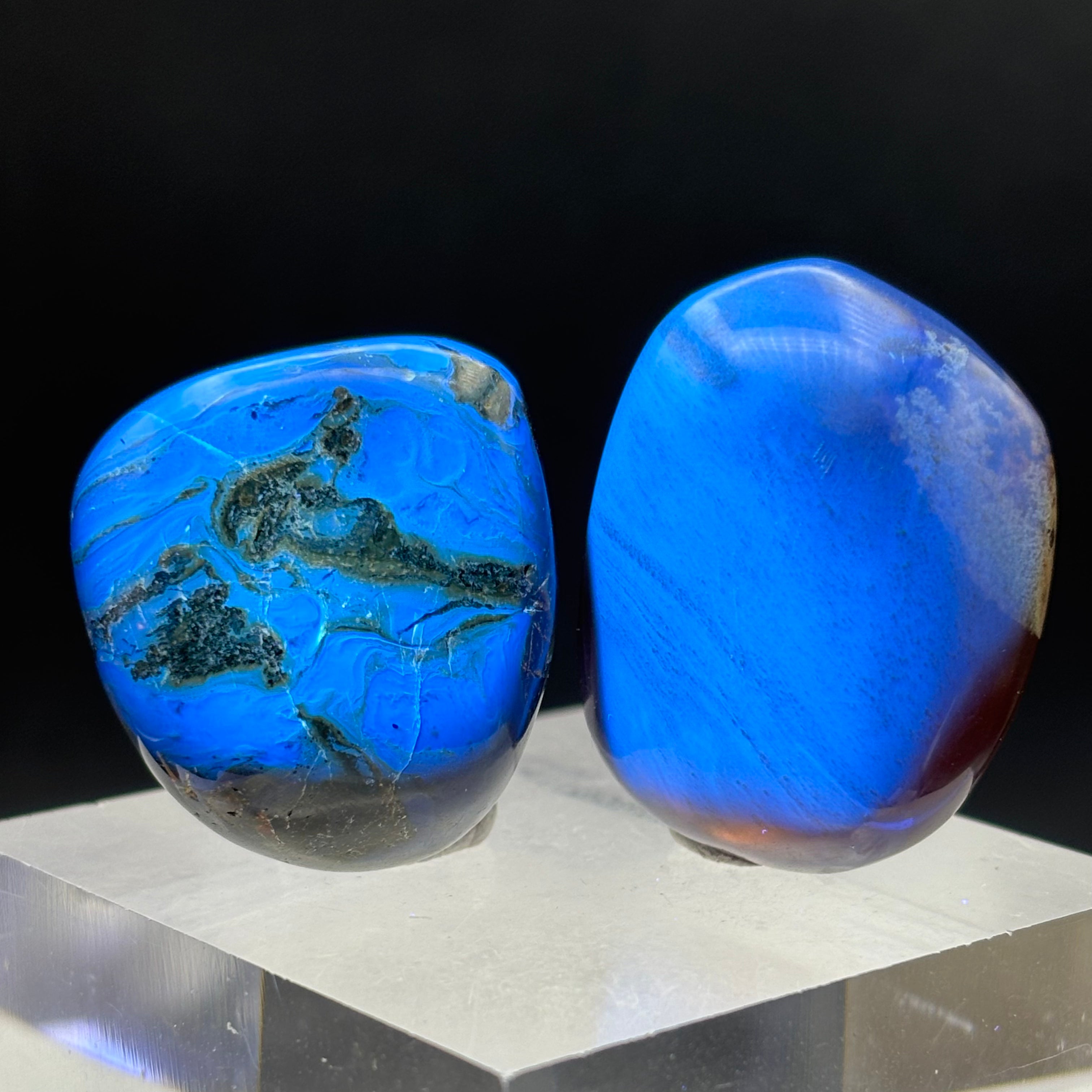 Blue Amber Pair