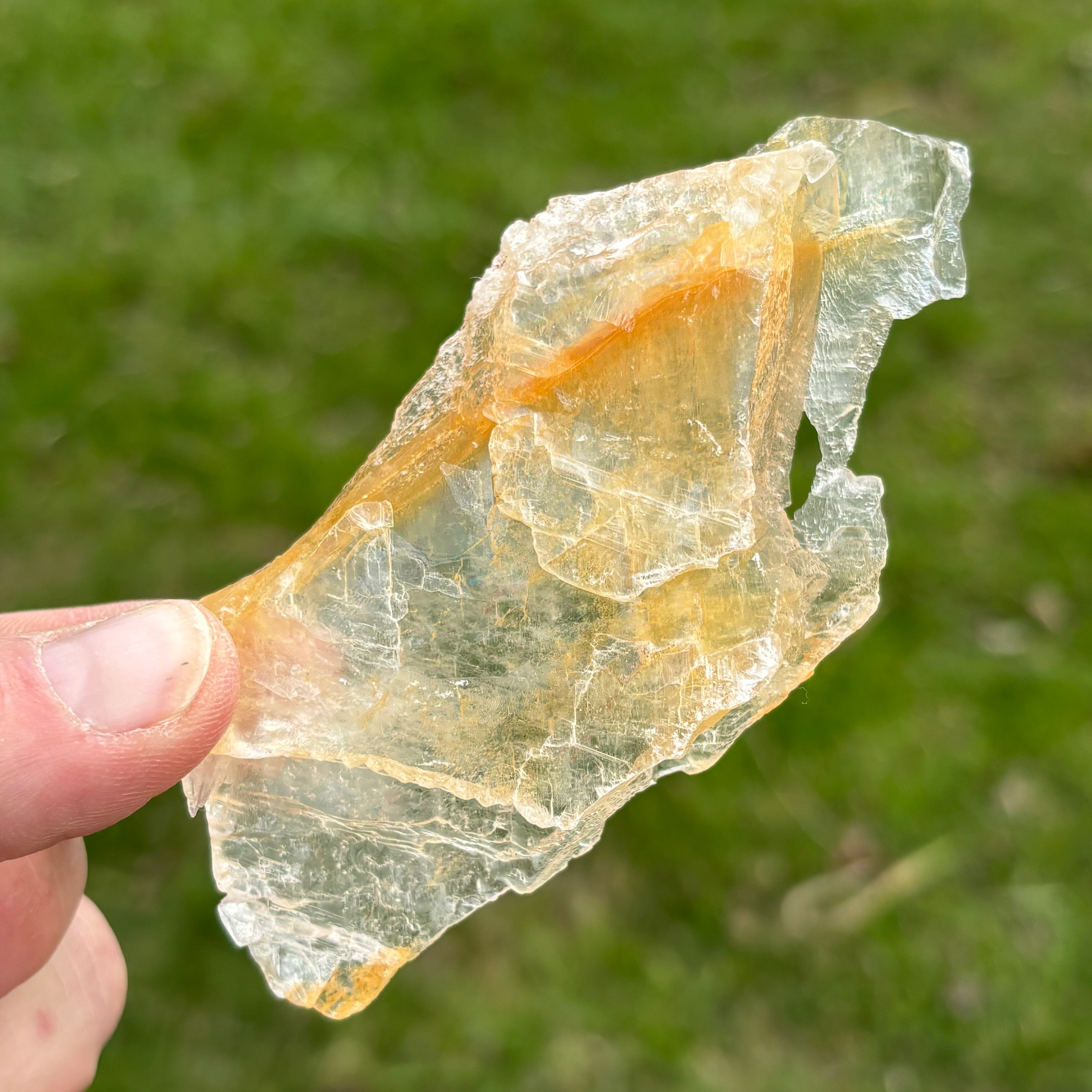 Golden Selenite Window - 659
