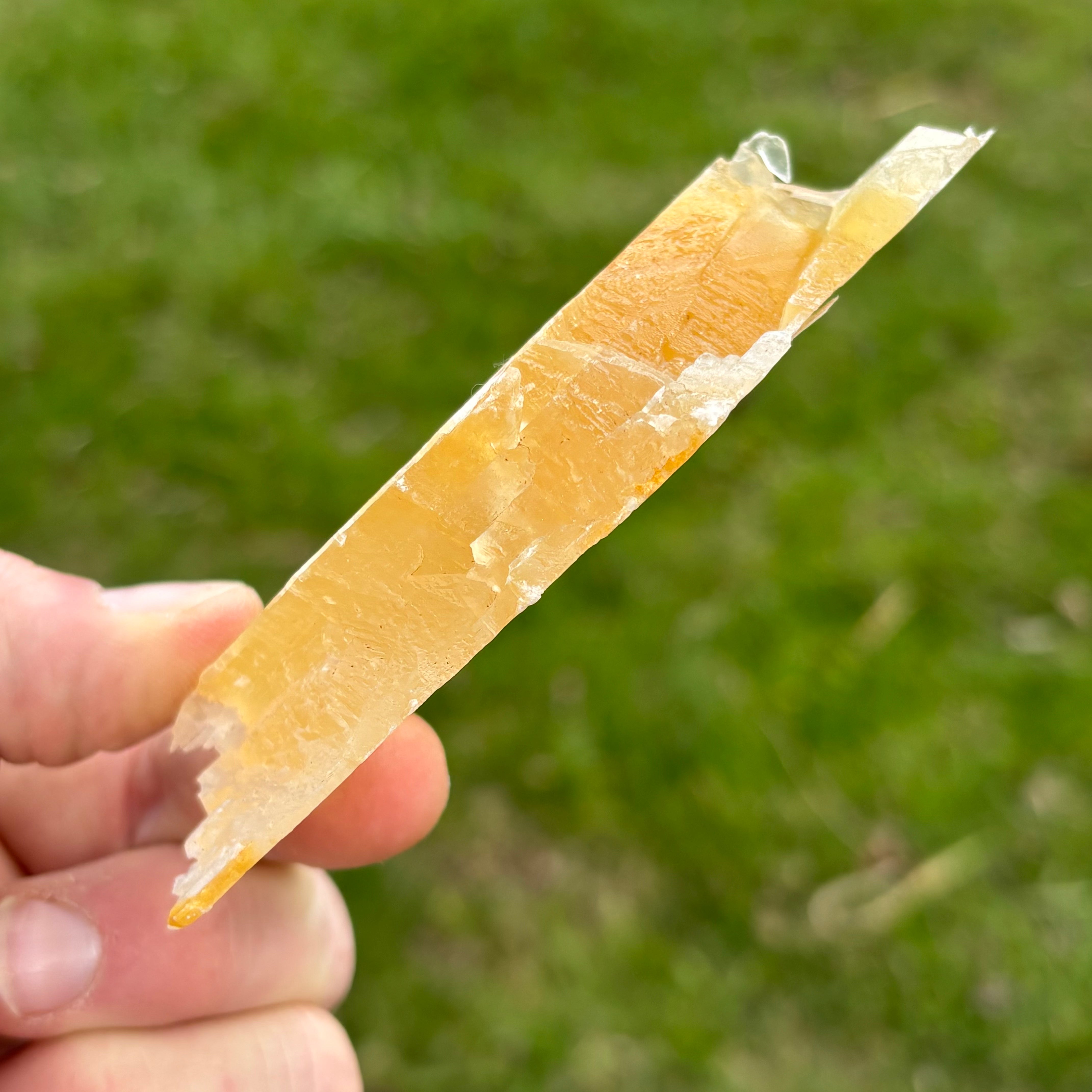 Golden Selenite Window - 659