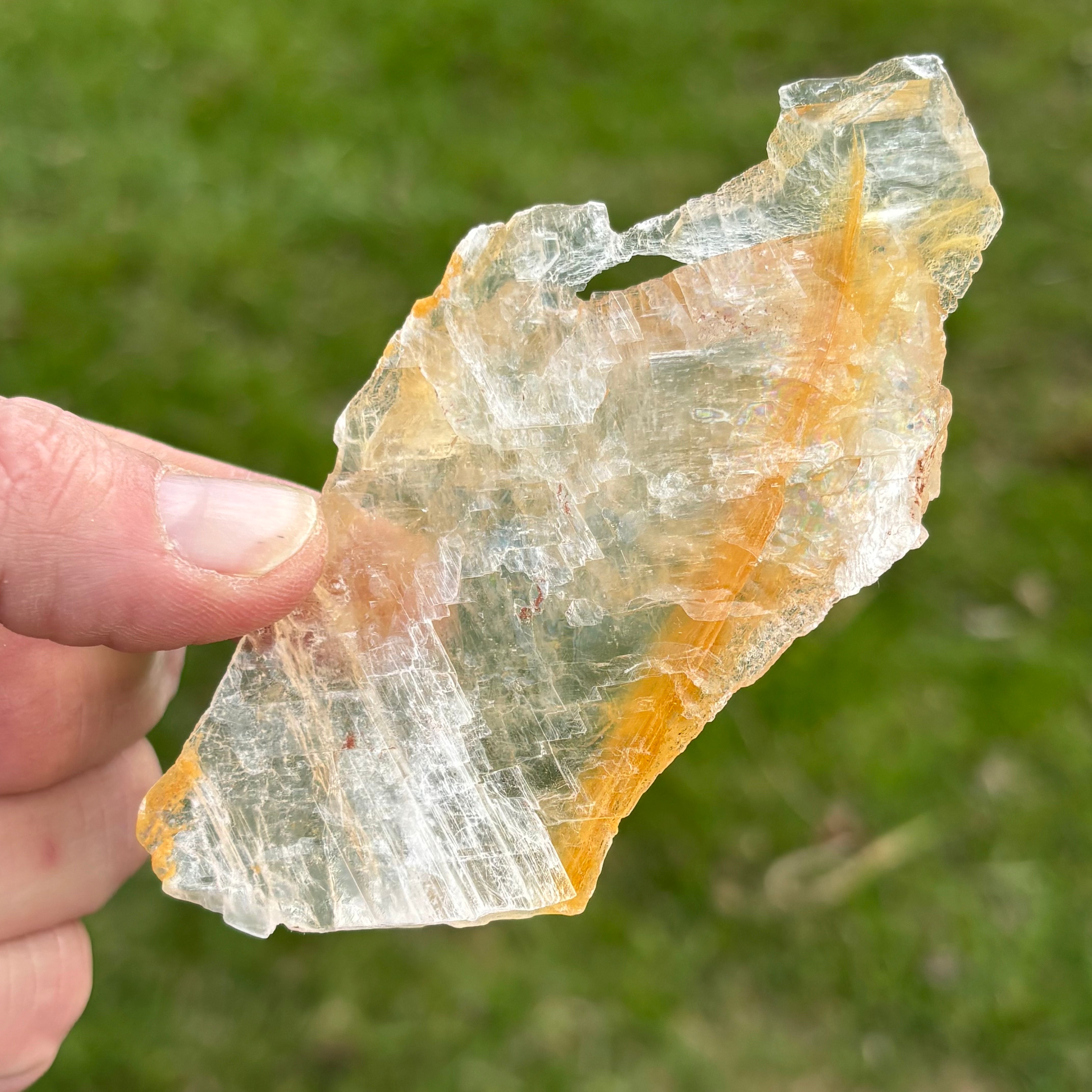 Golden Selenite Window - 659