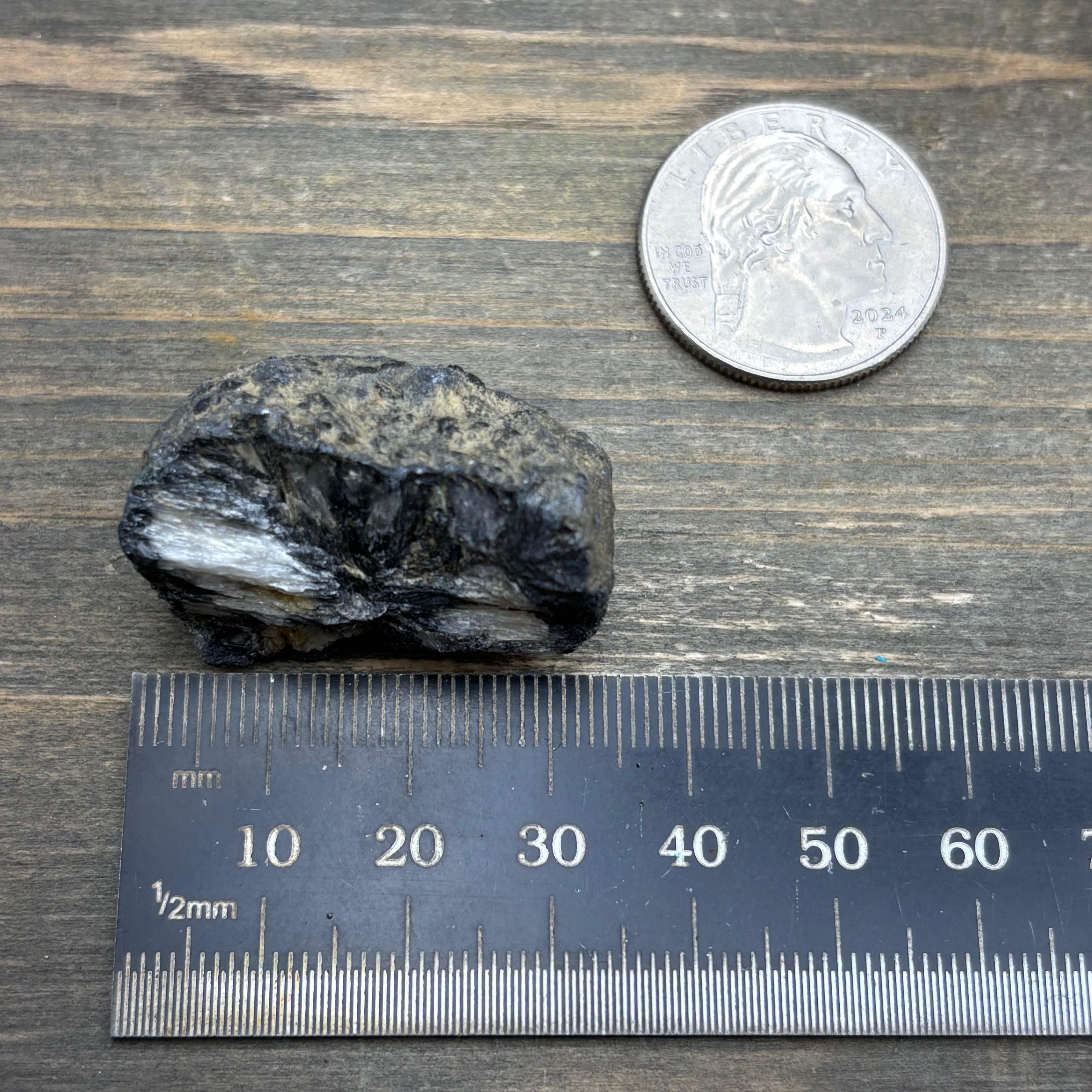 Siberian Chiastolite - 009