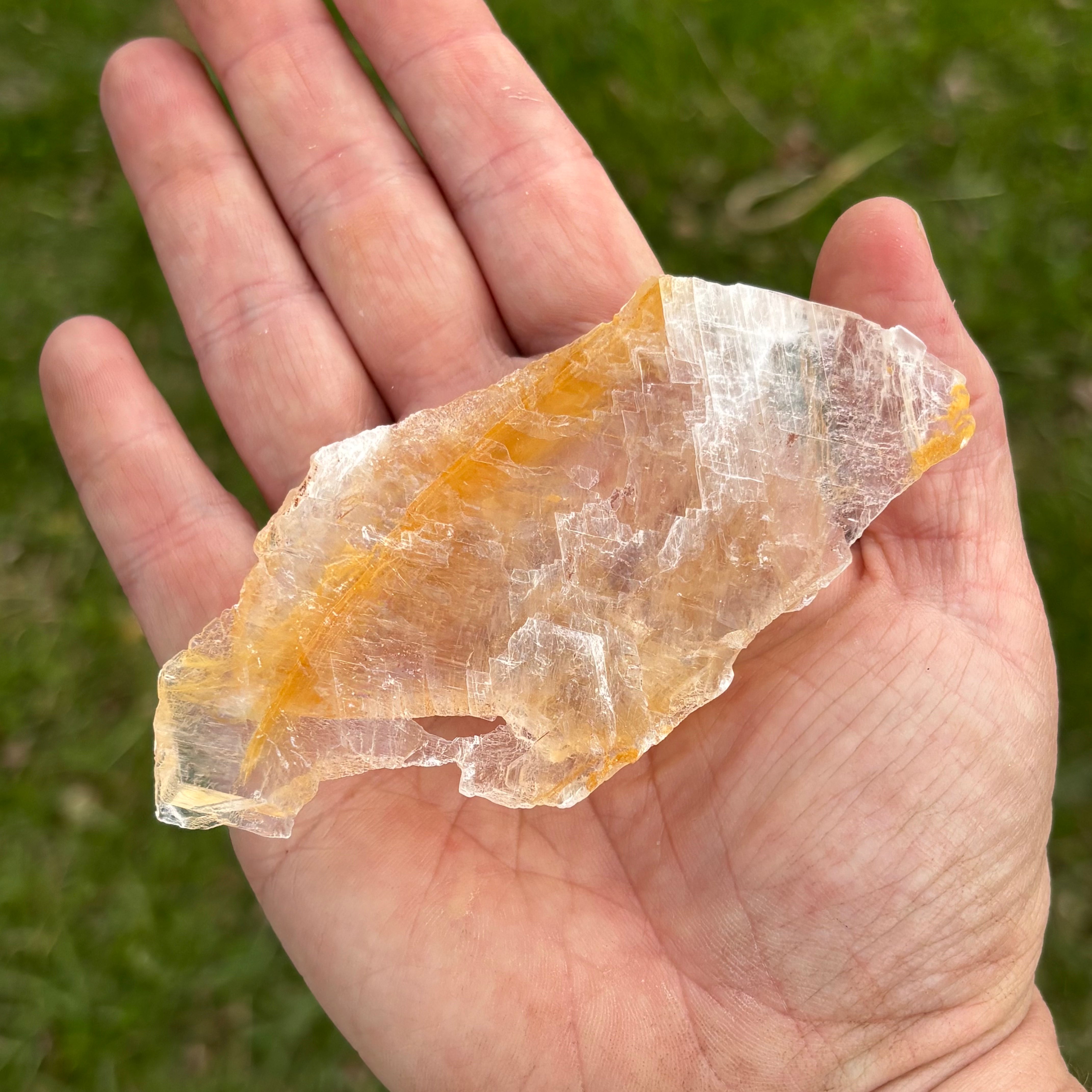 Golden Selenite Window - 659