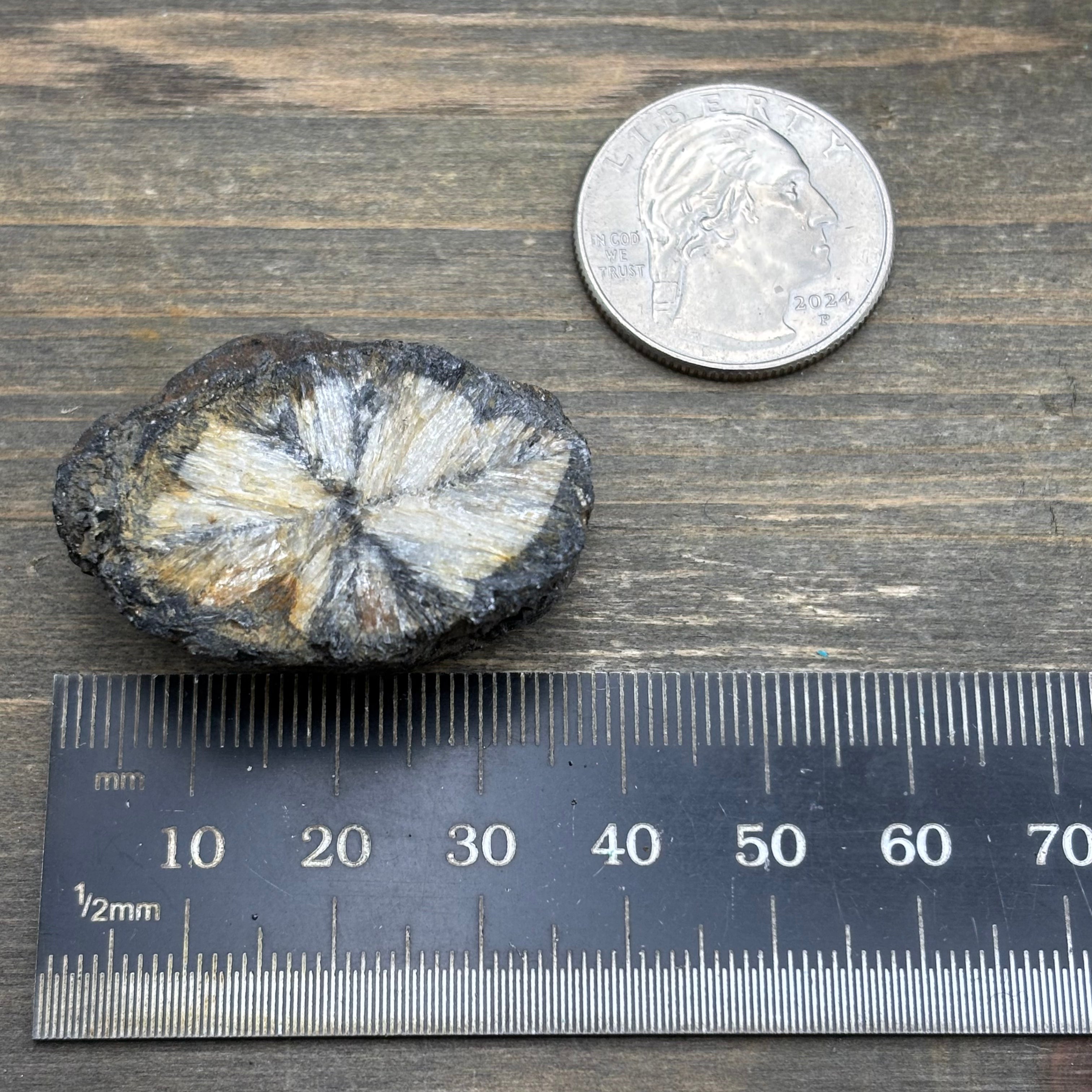 Siberian Chiastolite - 010