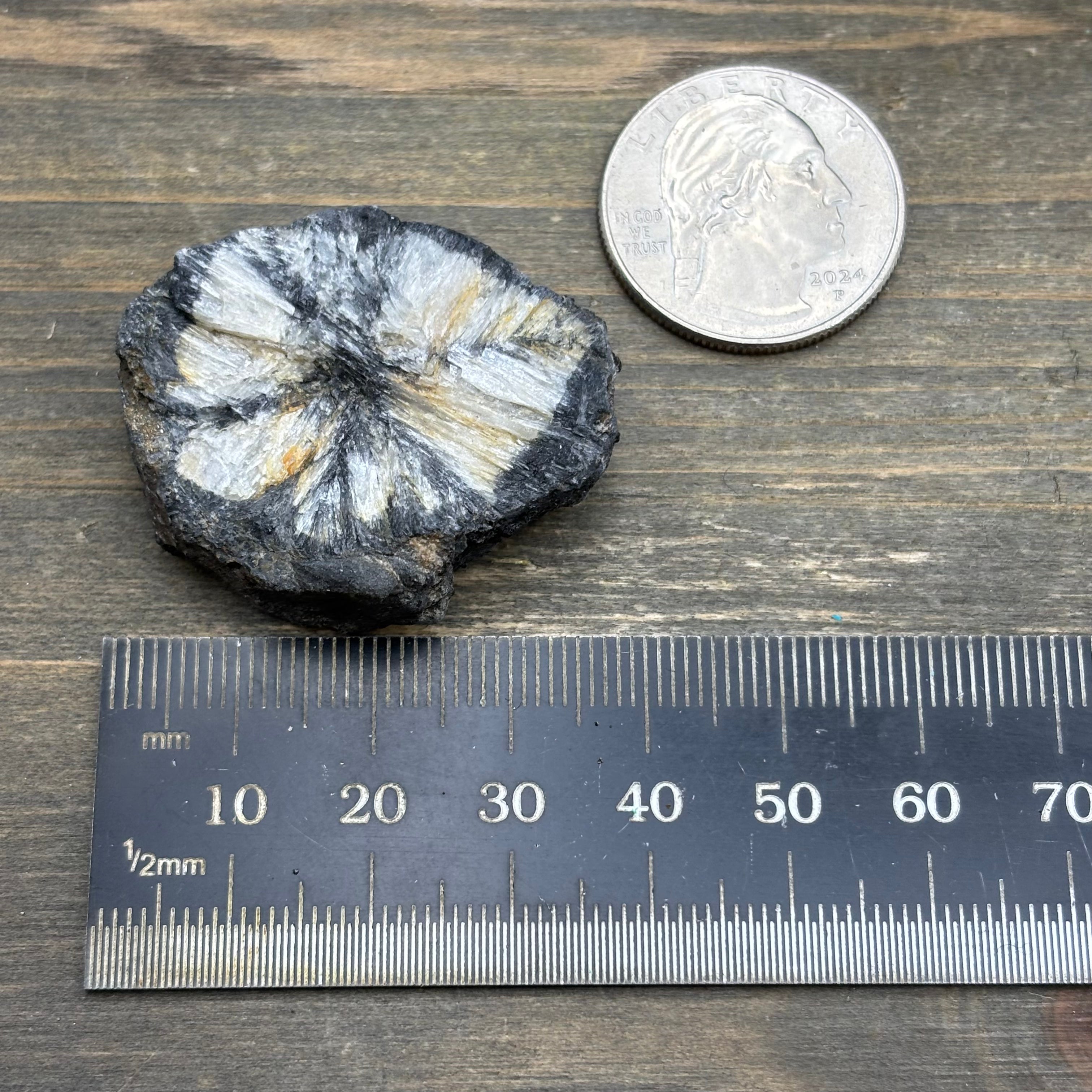 Siberian Chiastolite - 011