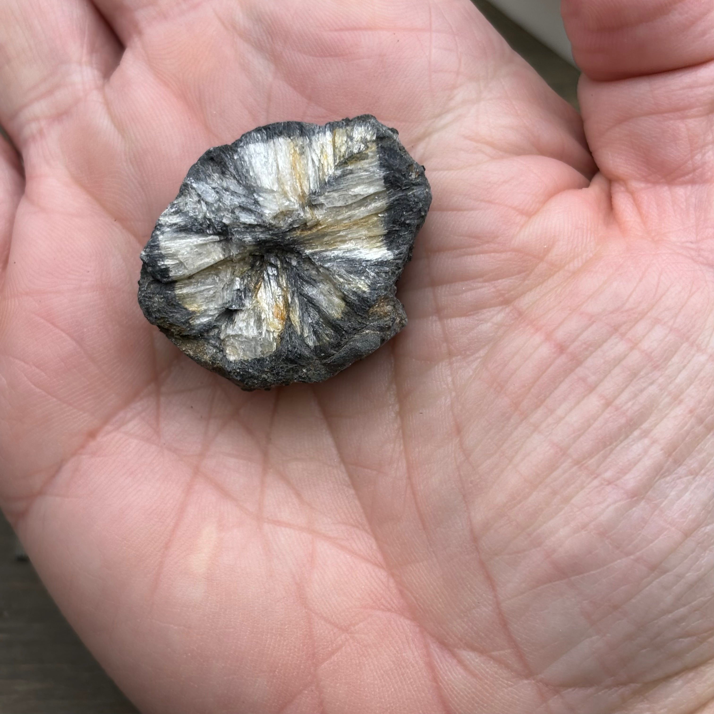Siberian Chiastolite - 011
