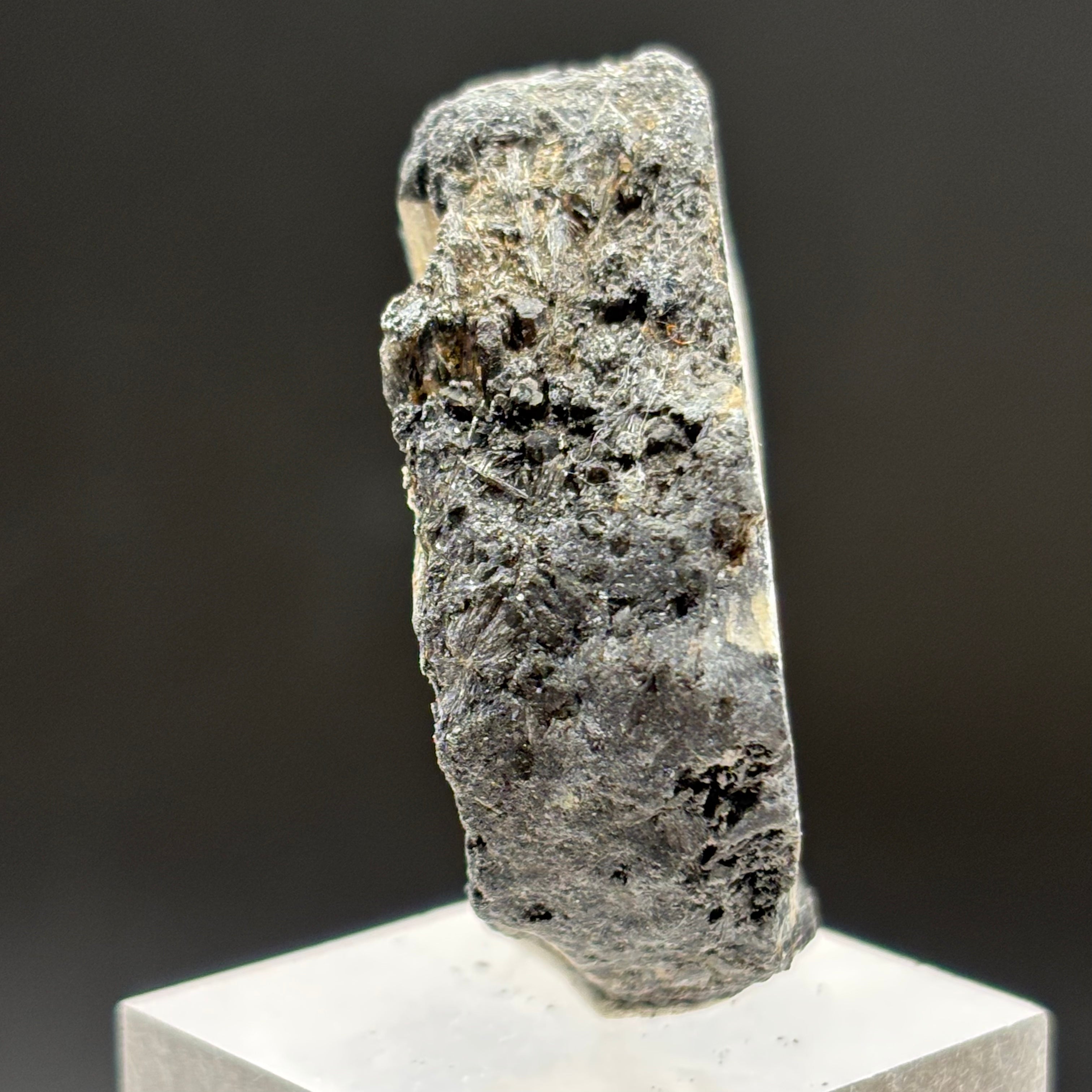 Siberian Chiastolite - 012