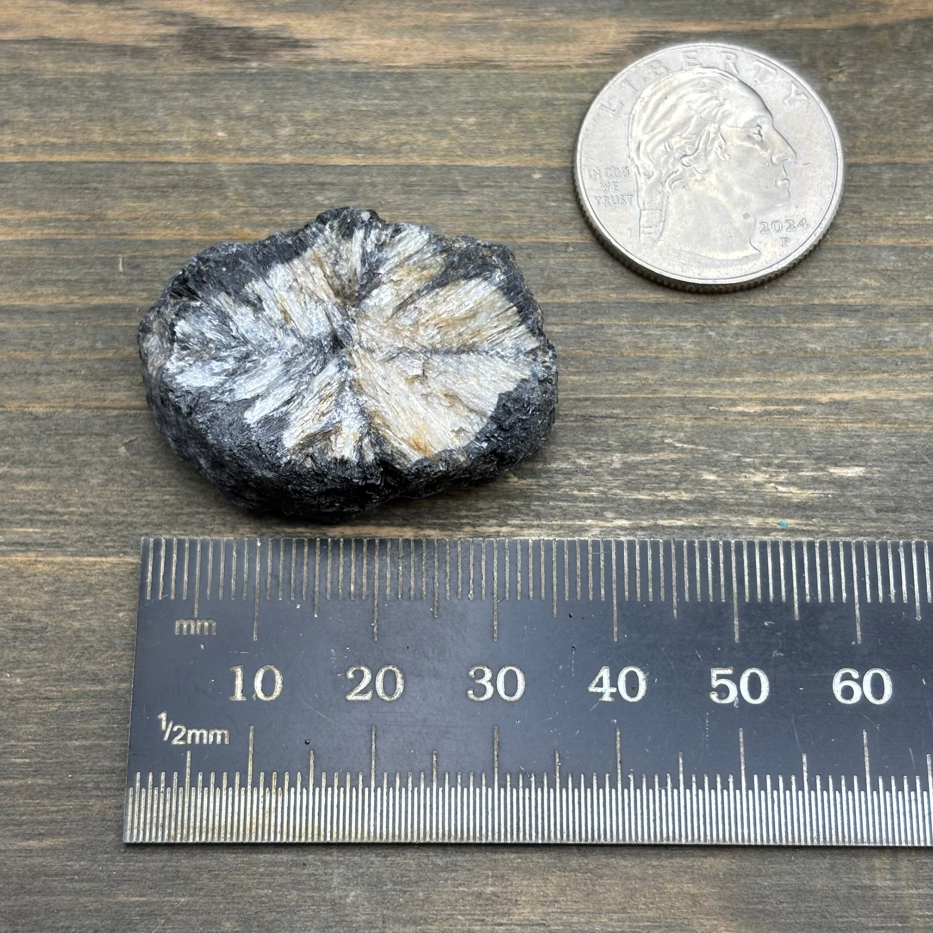 Siberian Chiastolite - 012