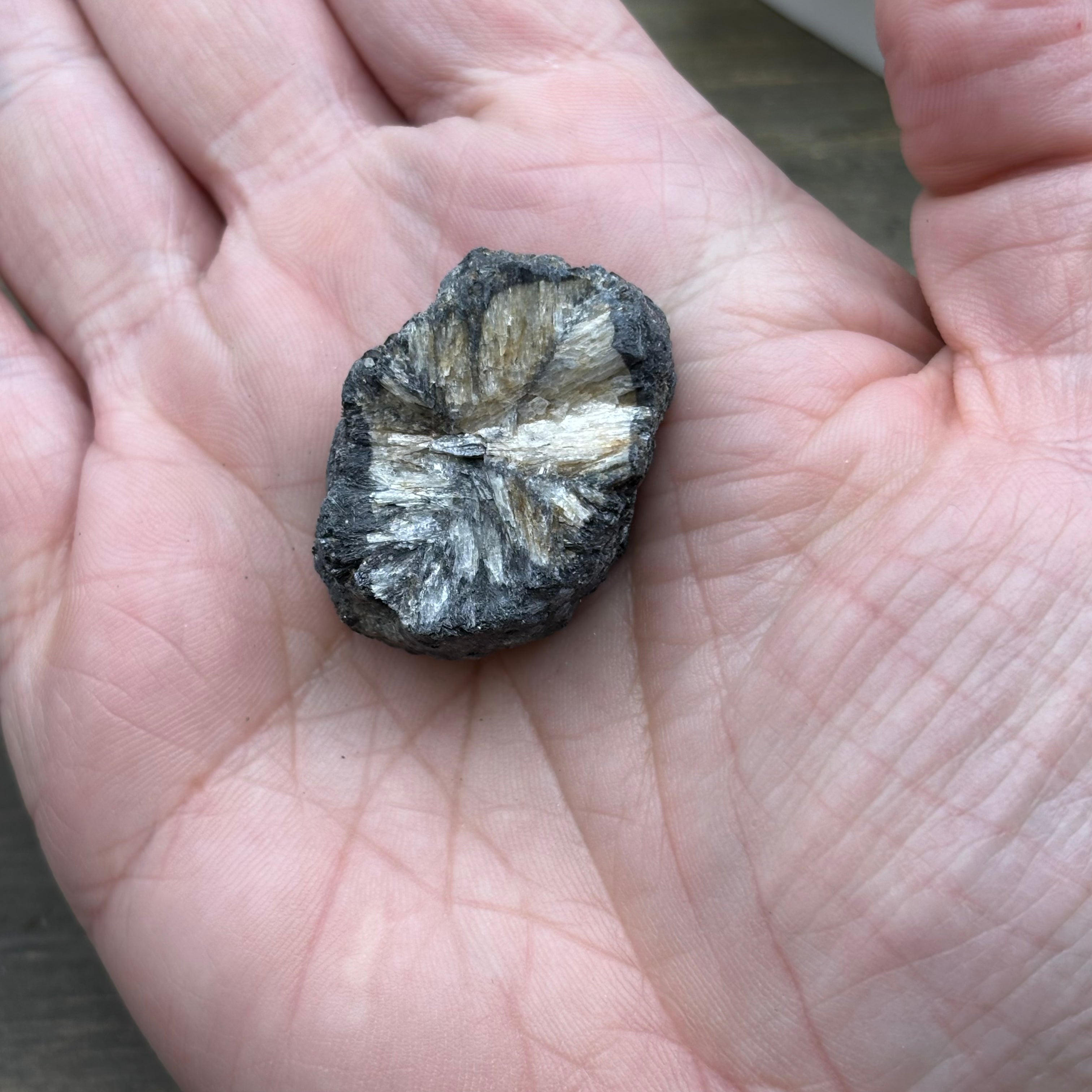 Siberian Chiastolite - 012