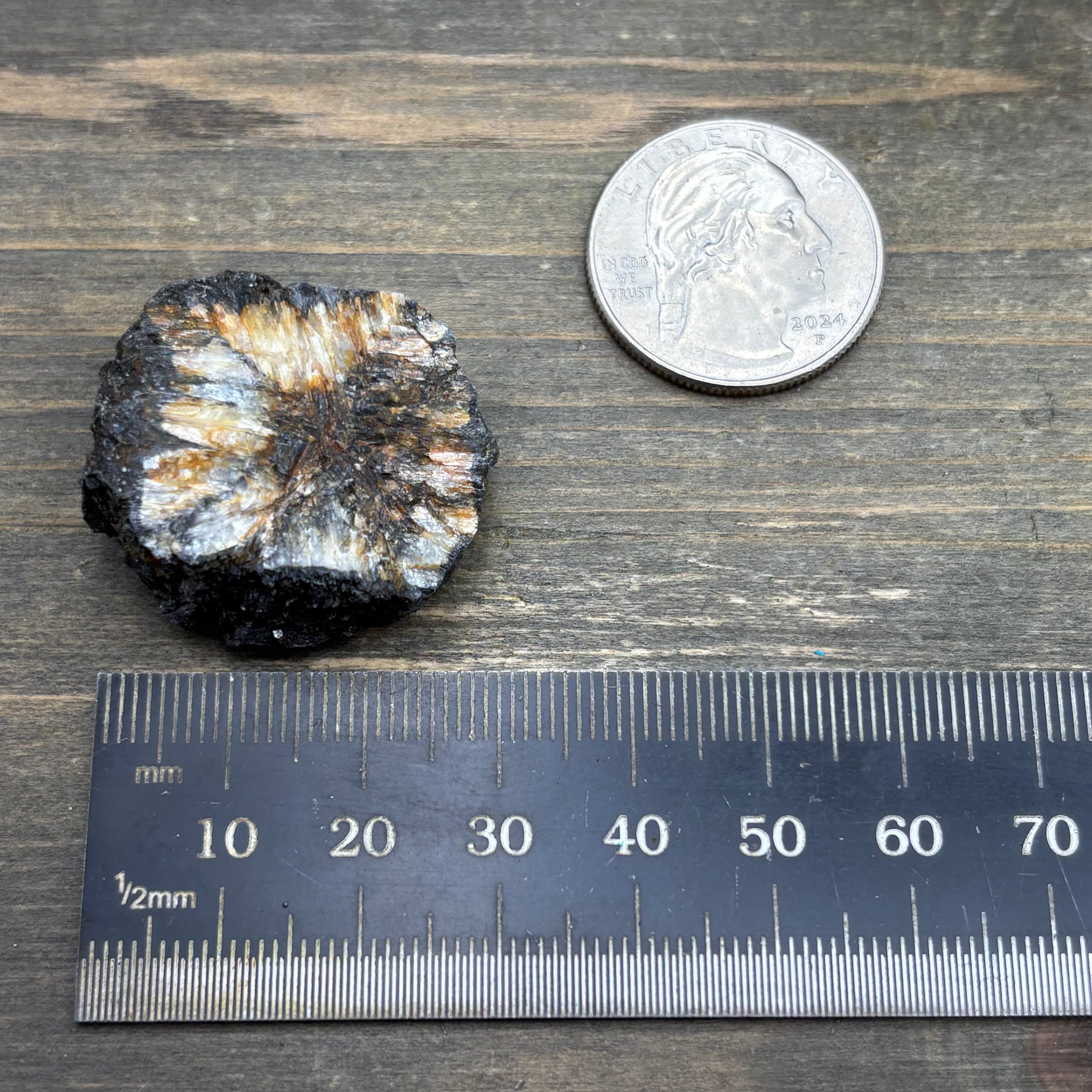 Siberian Chiastolite - 013