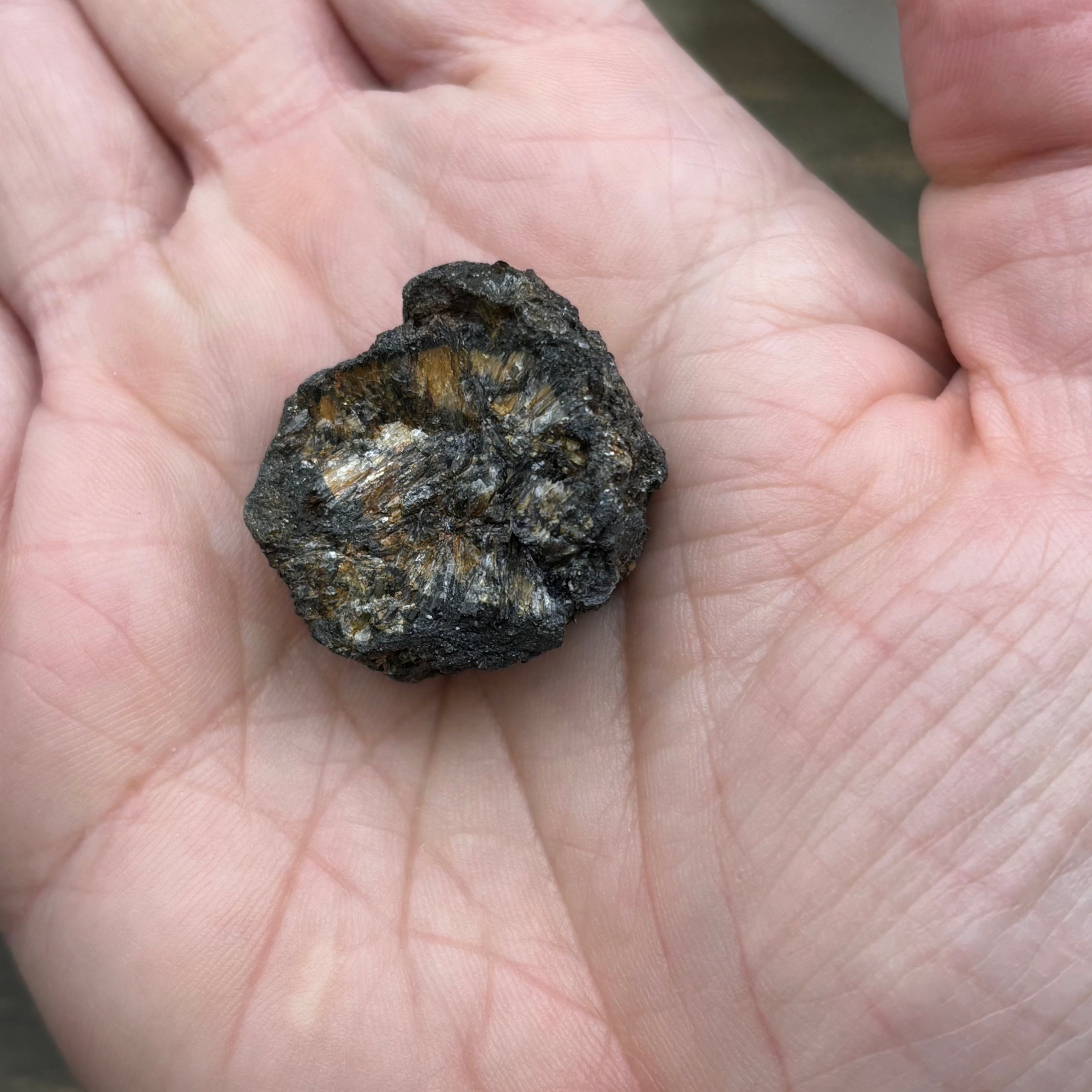Siberian Chiastolite - 013