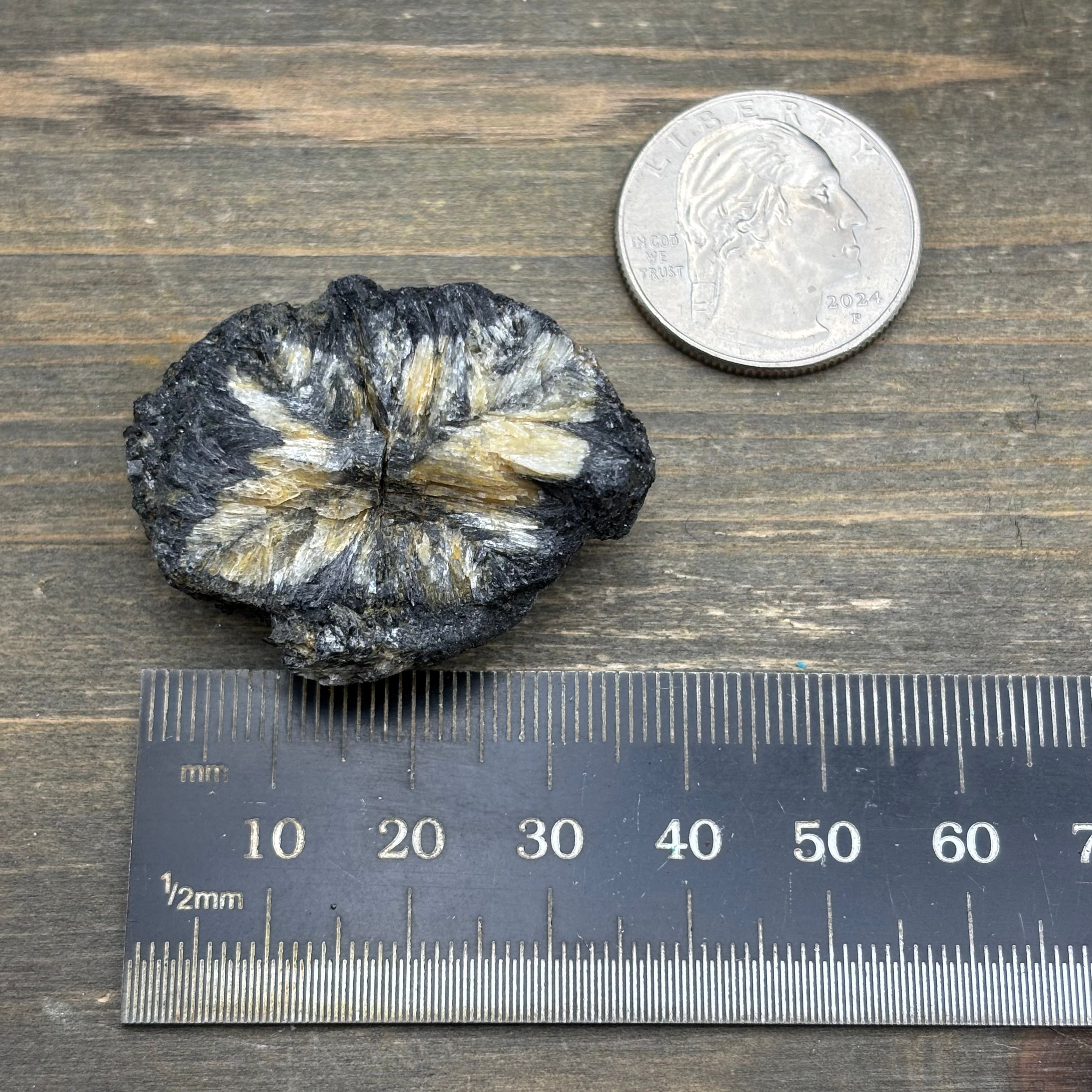 Siberian Chiastolite - 014