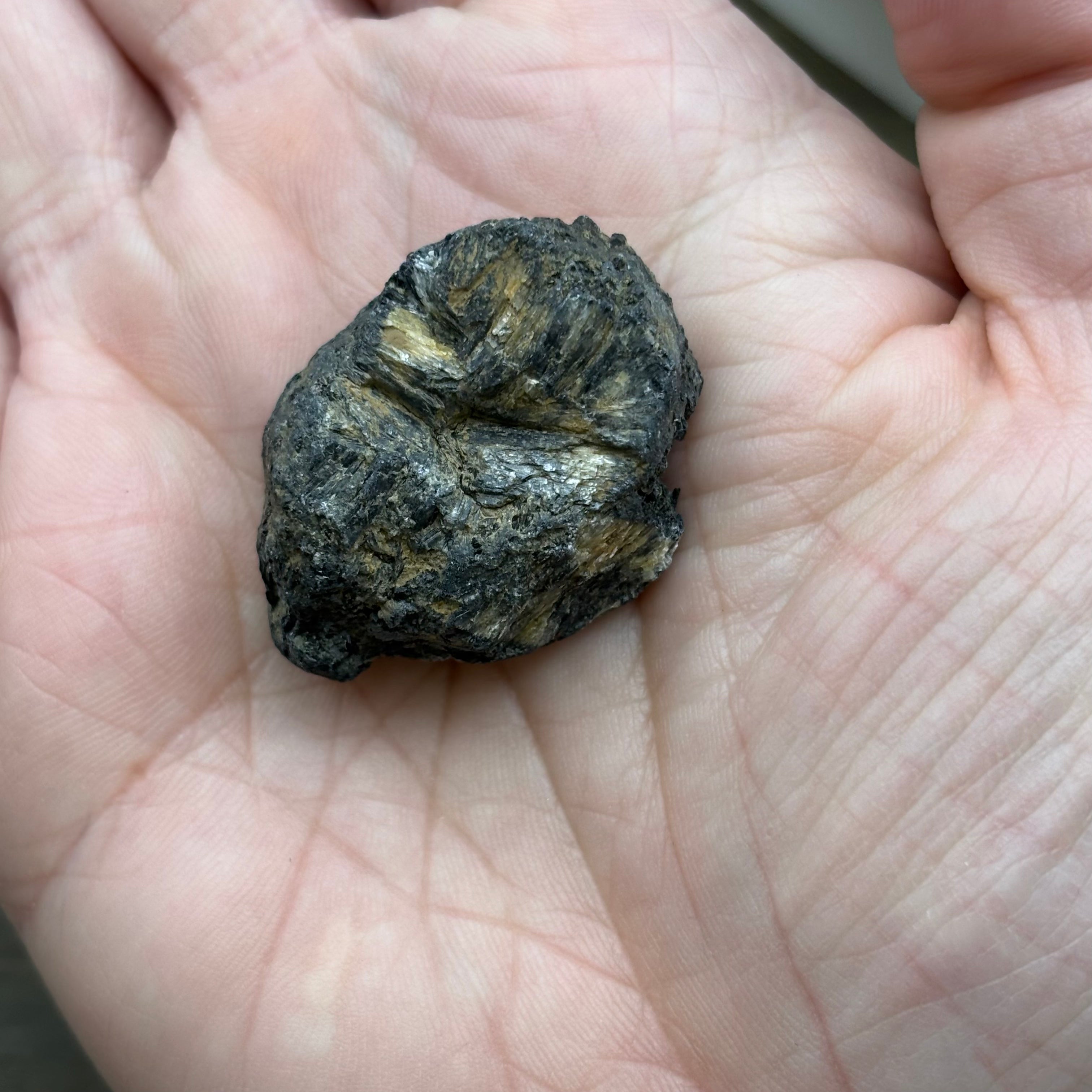 Siberian Chiastolite - 014