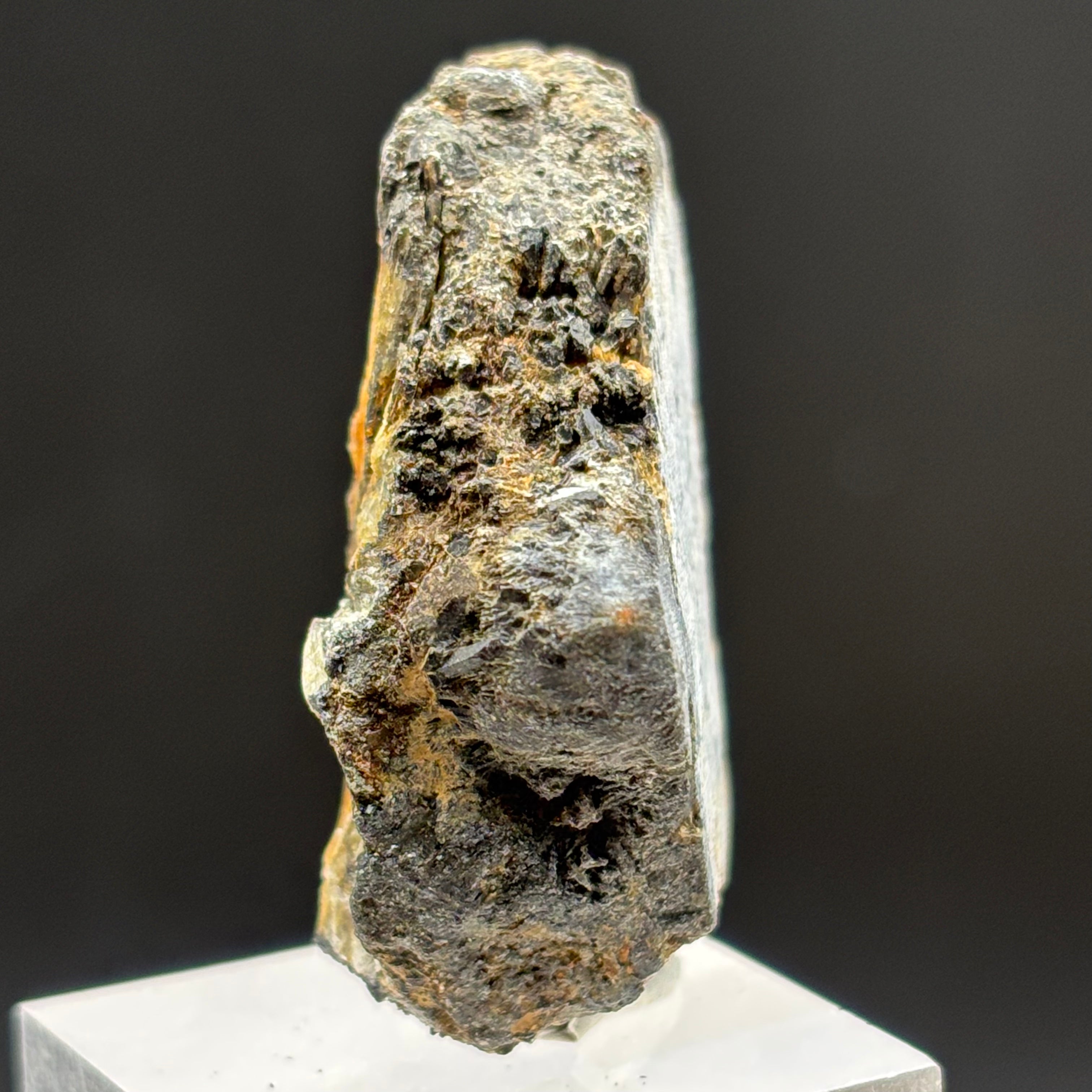Siberian Chiastolite - 015