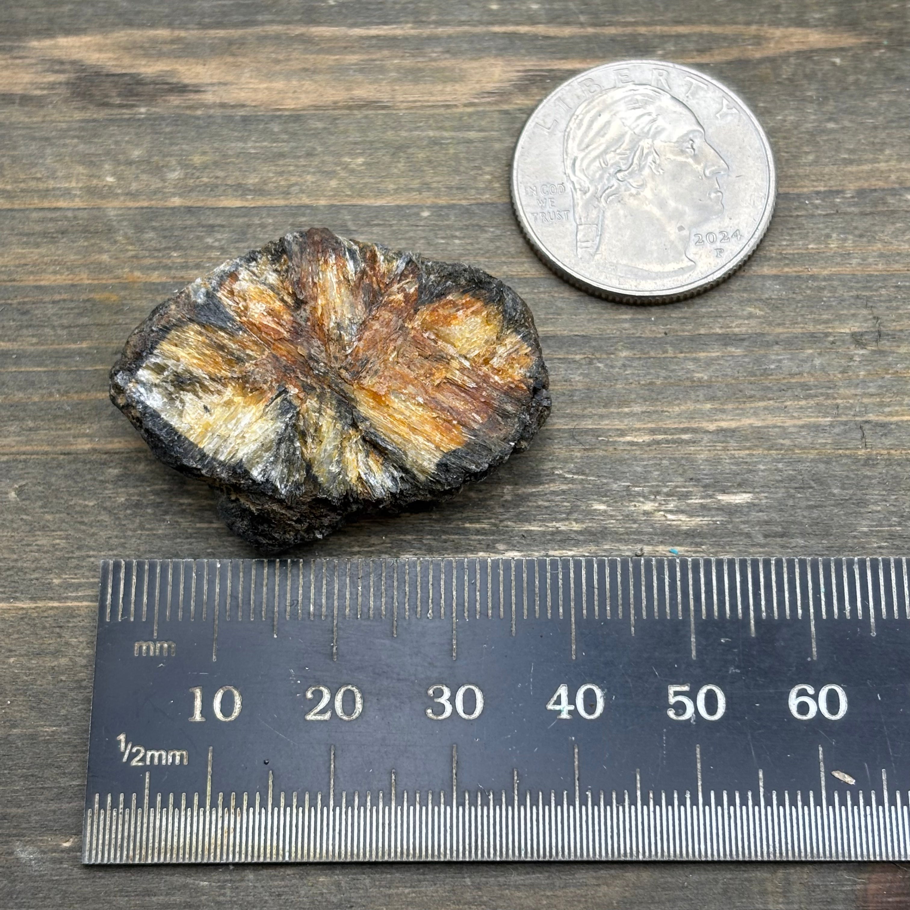 Siberian Chiastolite - 015