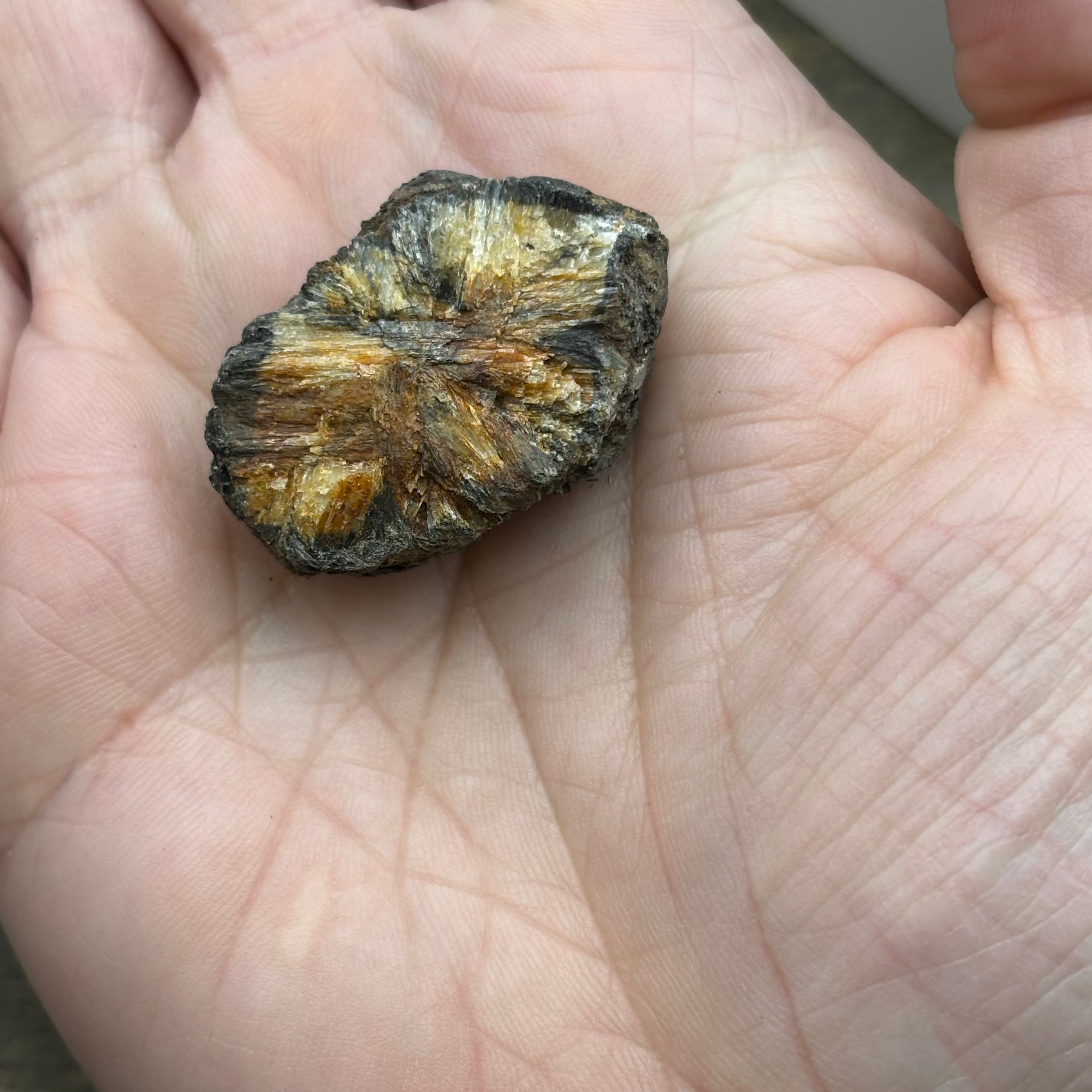 Siberian Chiastolite - 015