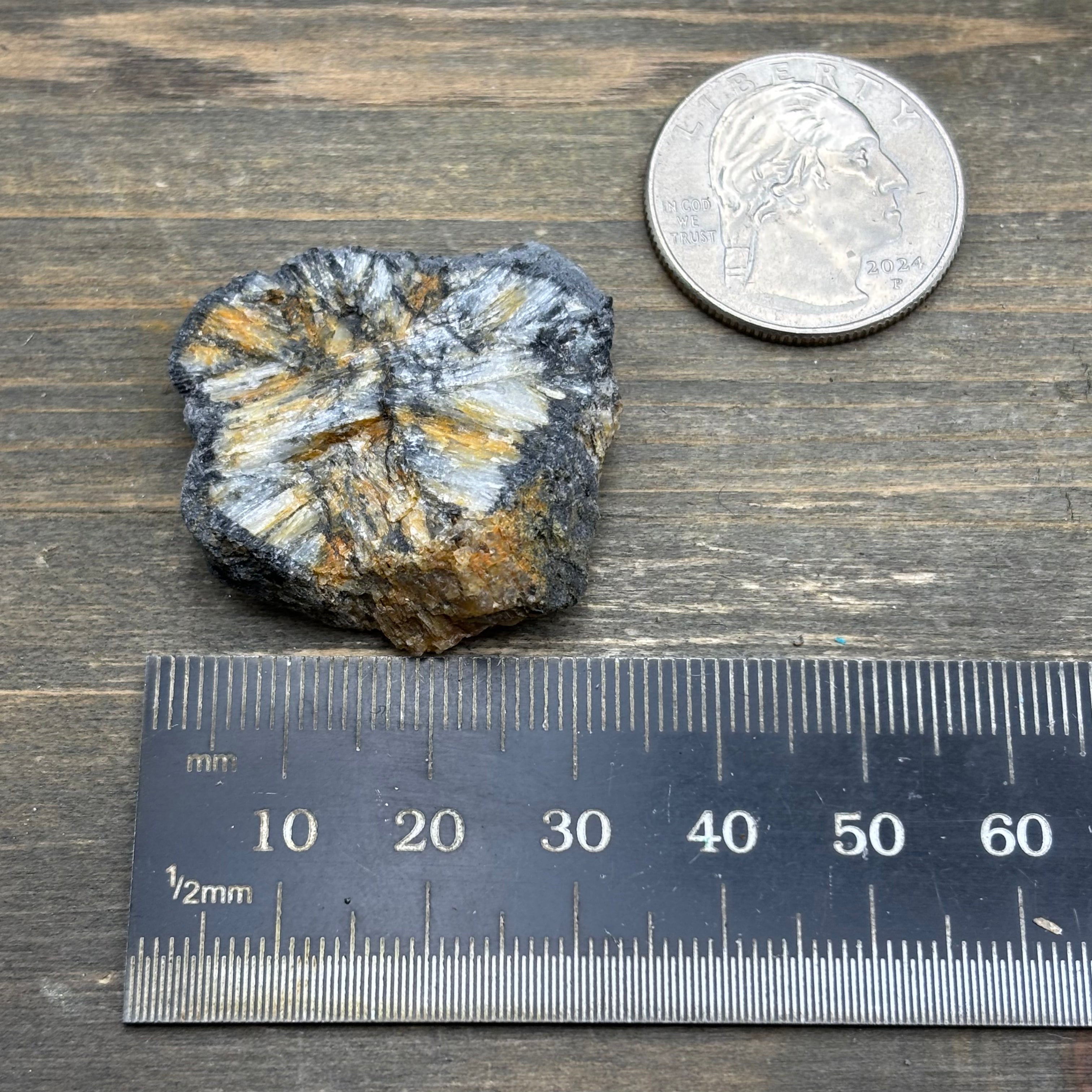 Siberian Chiastolite - 016