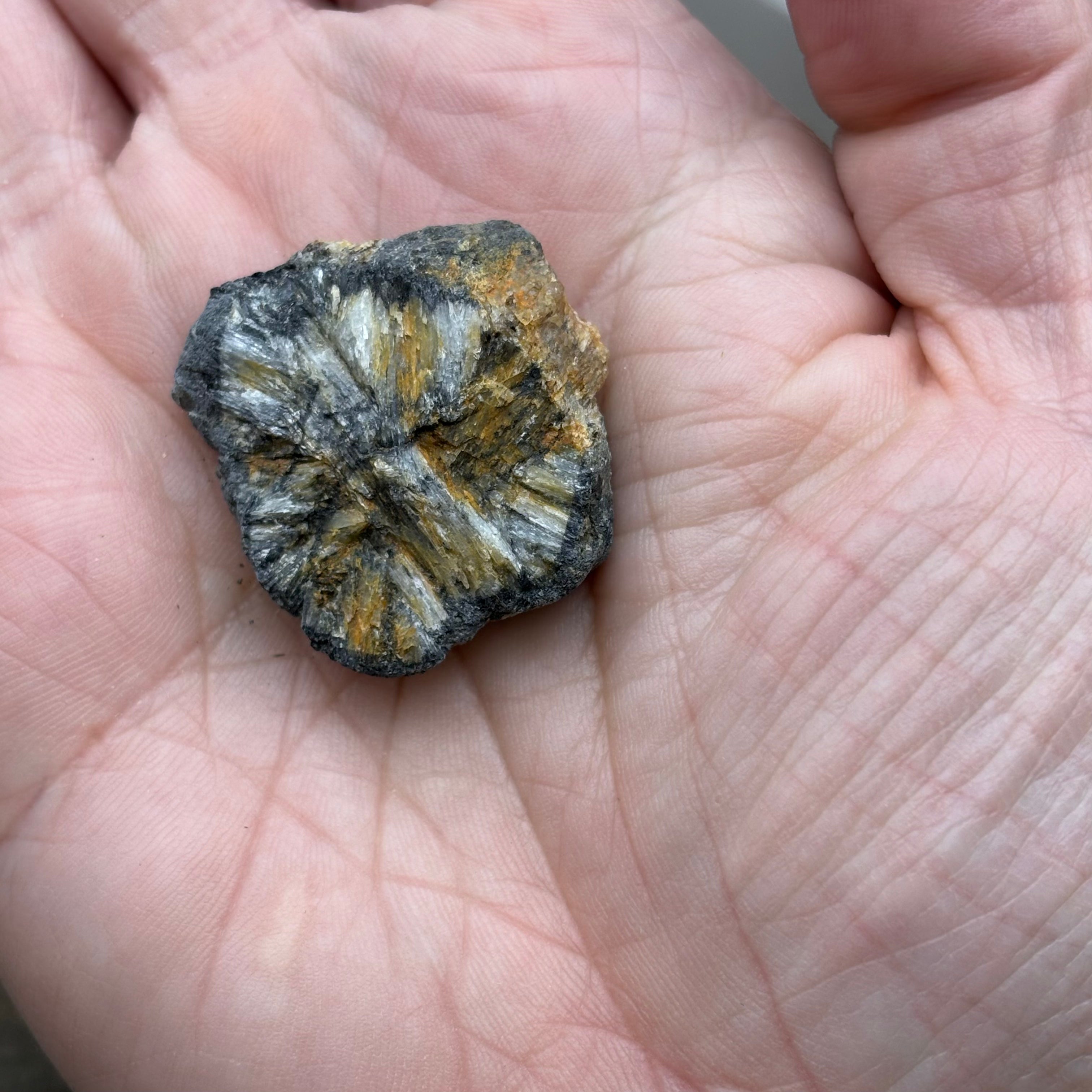 Siberian Chiastolite - 016