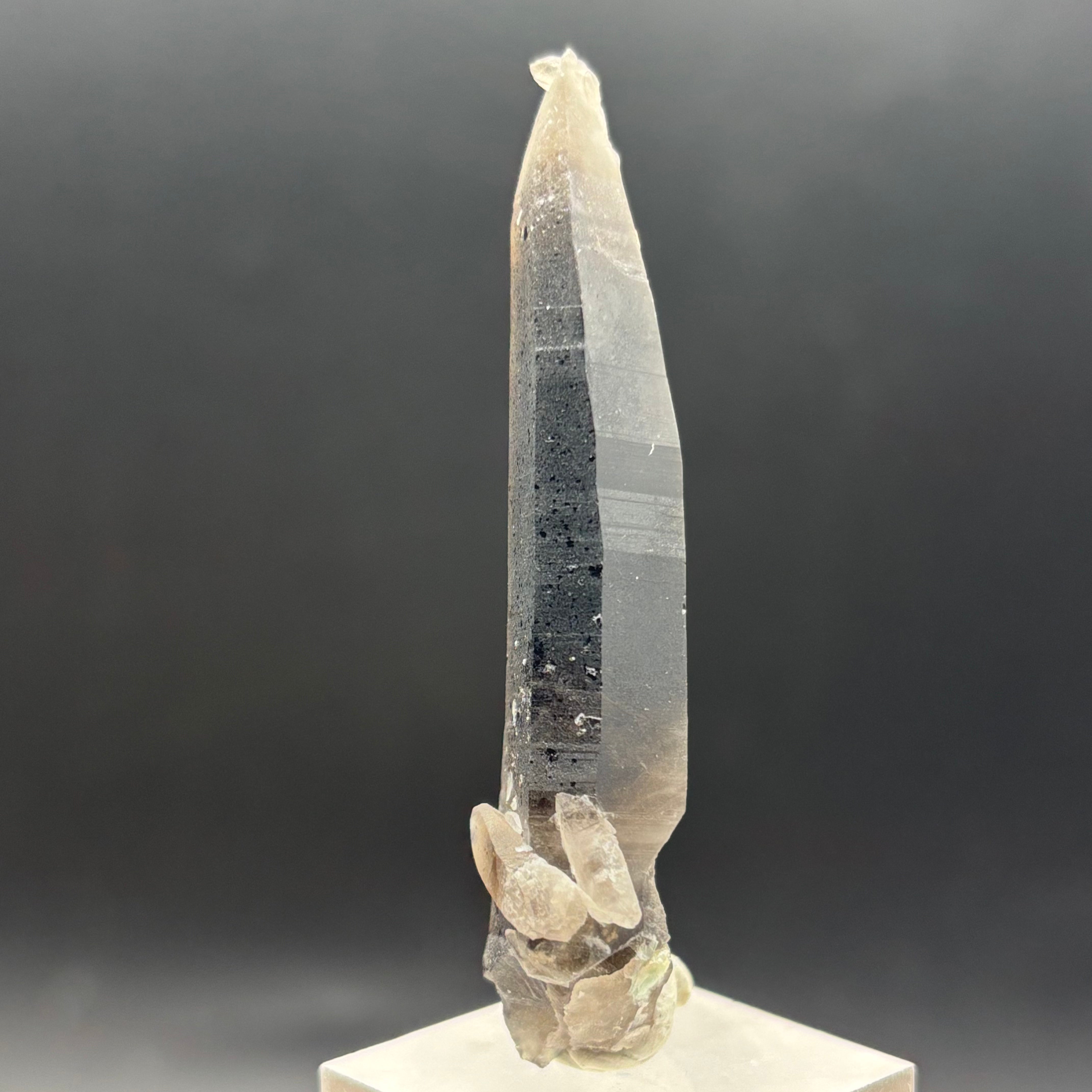 Dark Smoky Quartz Whole Crystal - 015